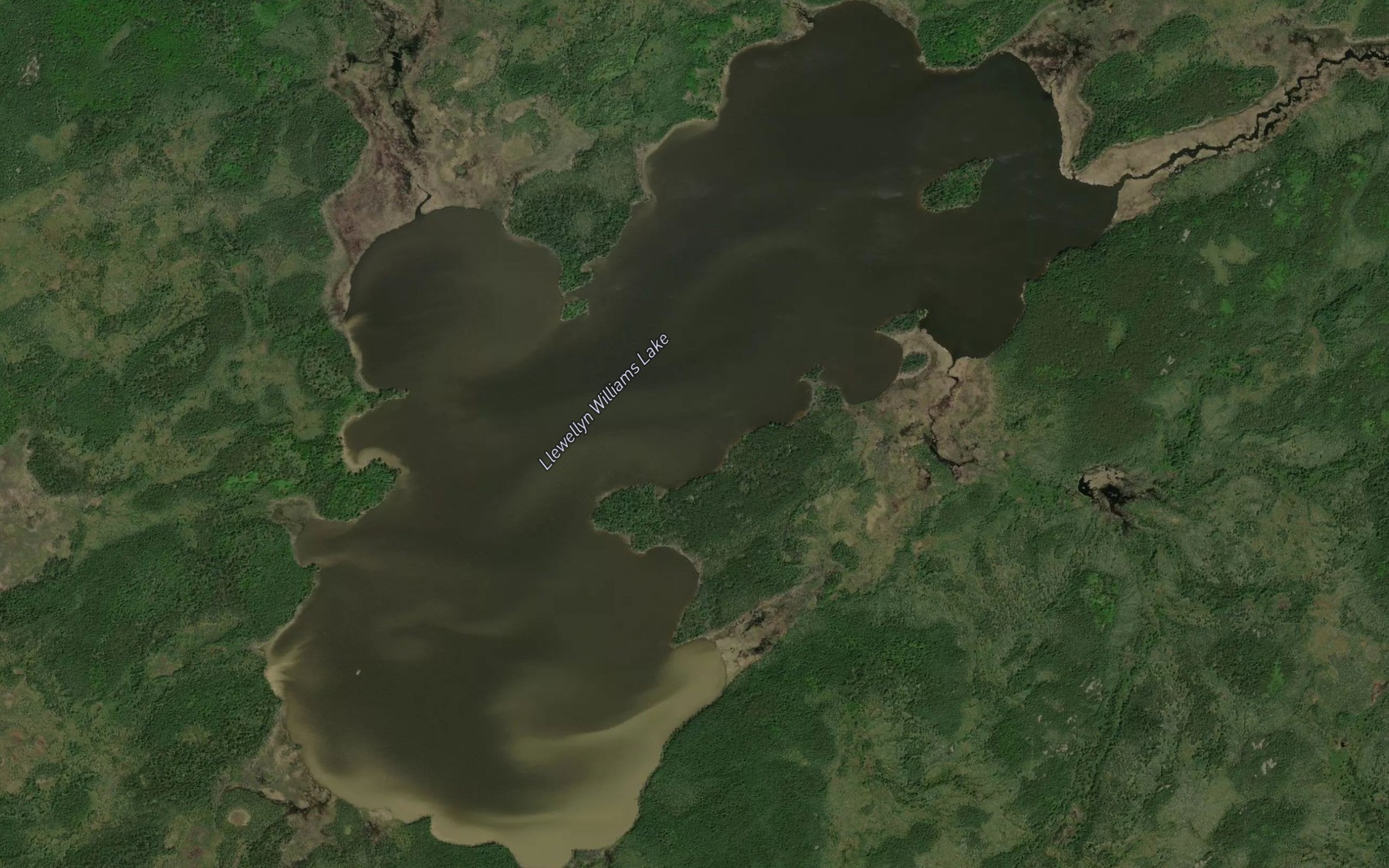 Satellite map of the Llewellyn Williams Lake
