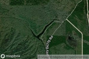Forked Lake