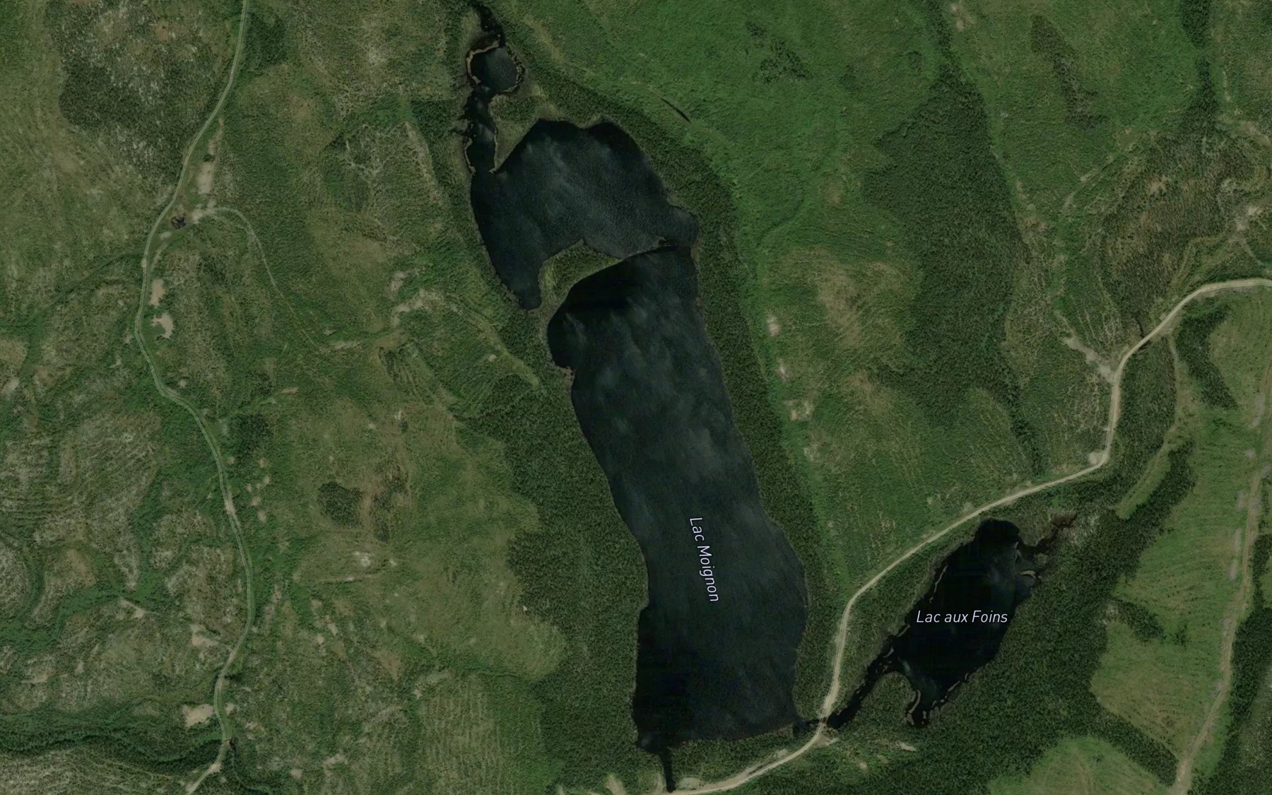 Satellite map of the Lac Moignon