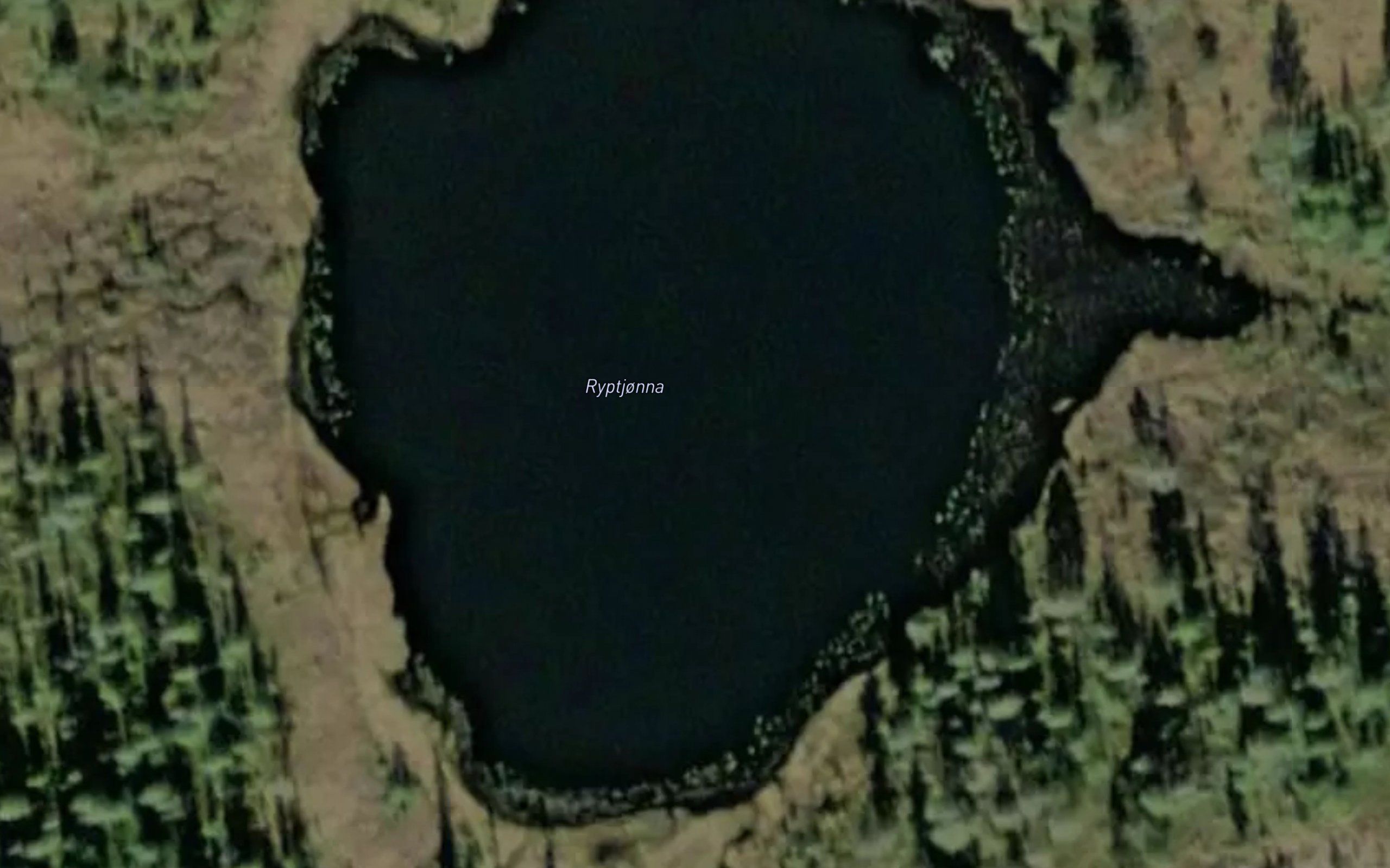 Ryptjonna