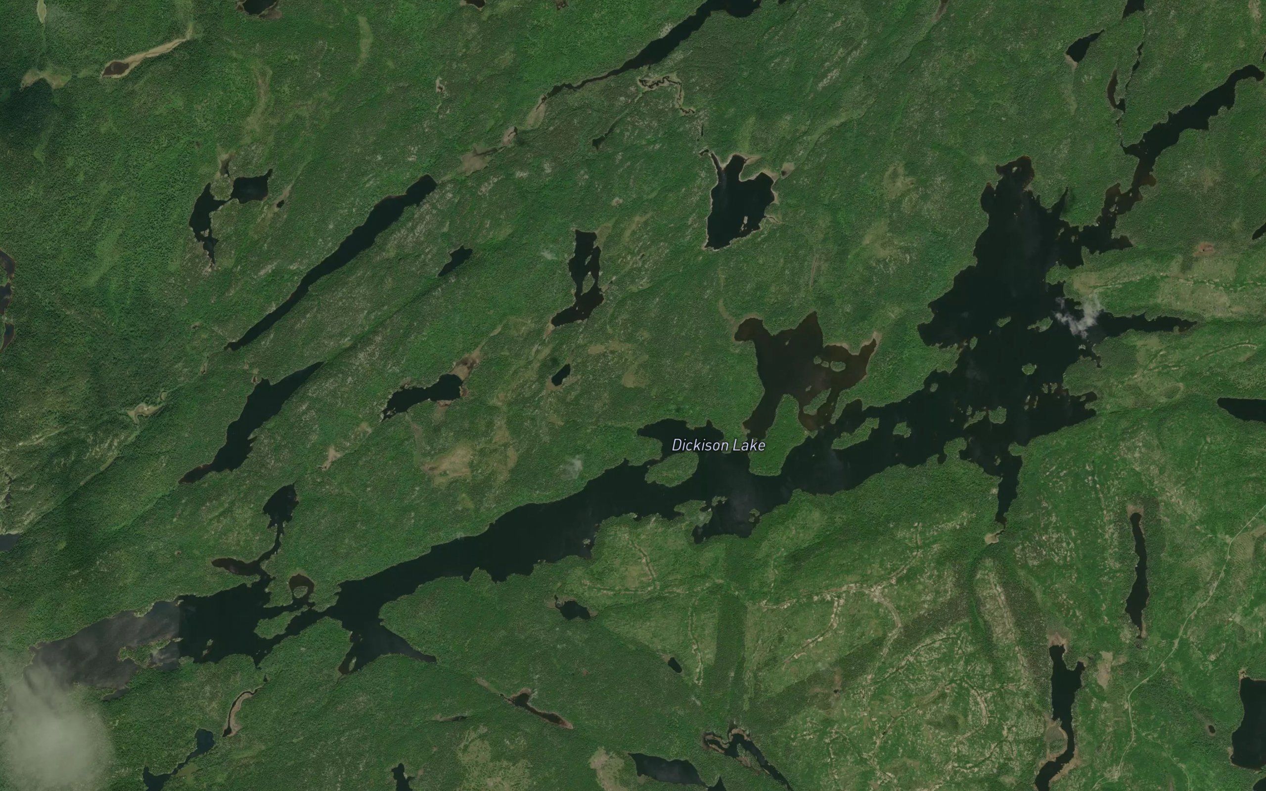 Dickison Lake