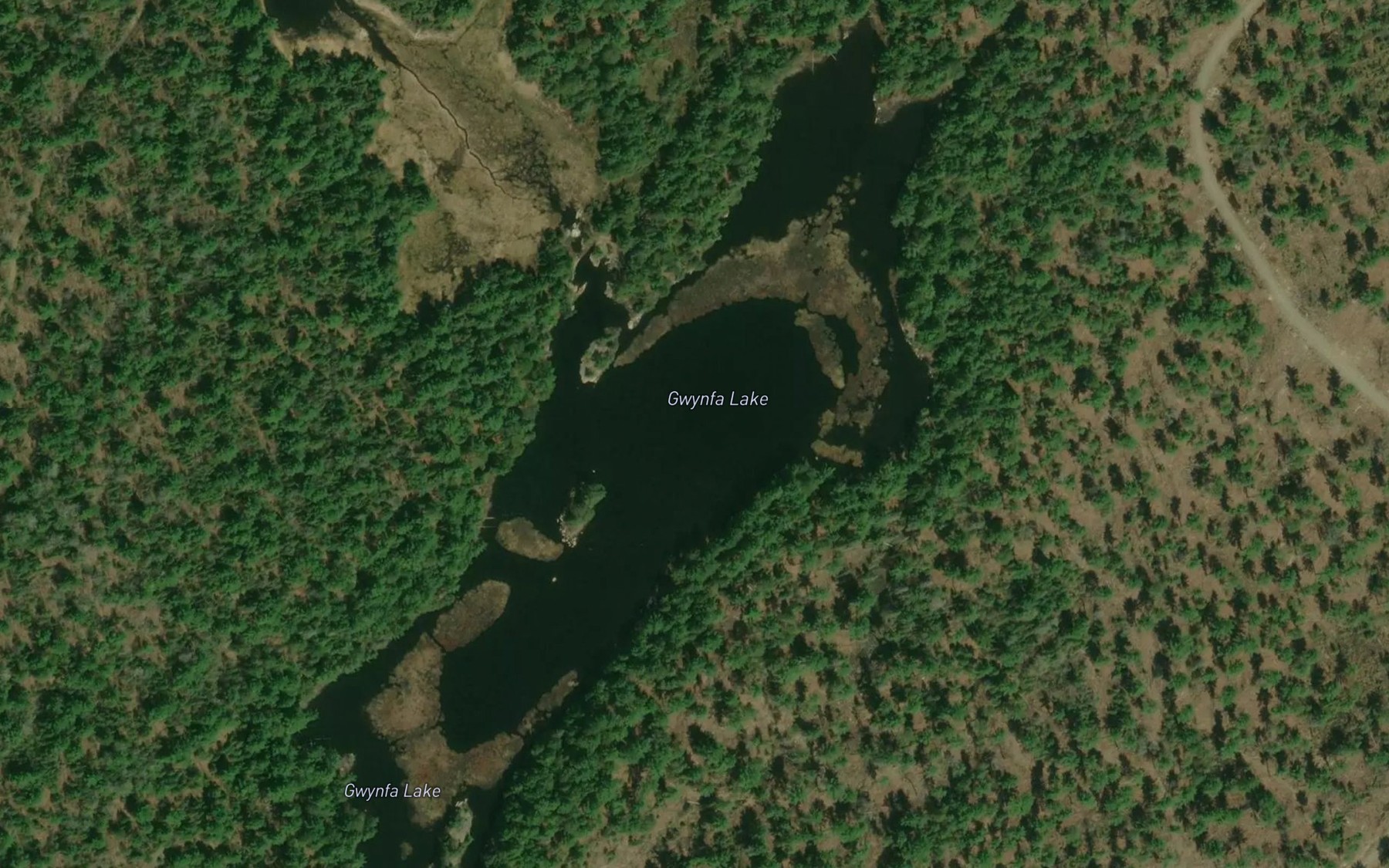 Satellite map of the Gwynfa Lake