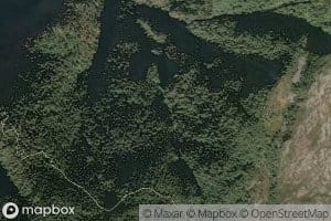 Fodnasetgrovi
