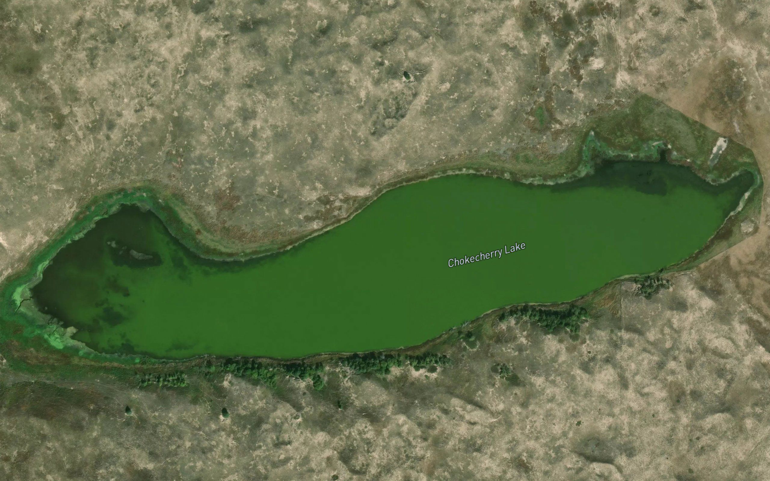 Chokecherry Lake