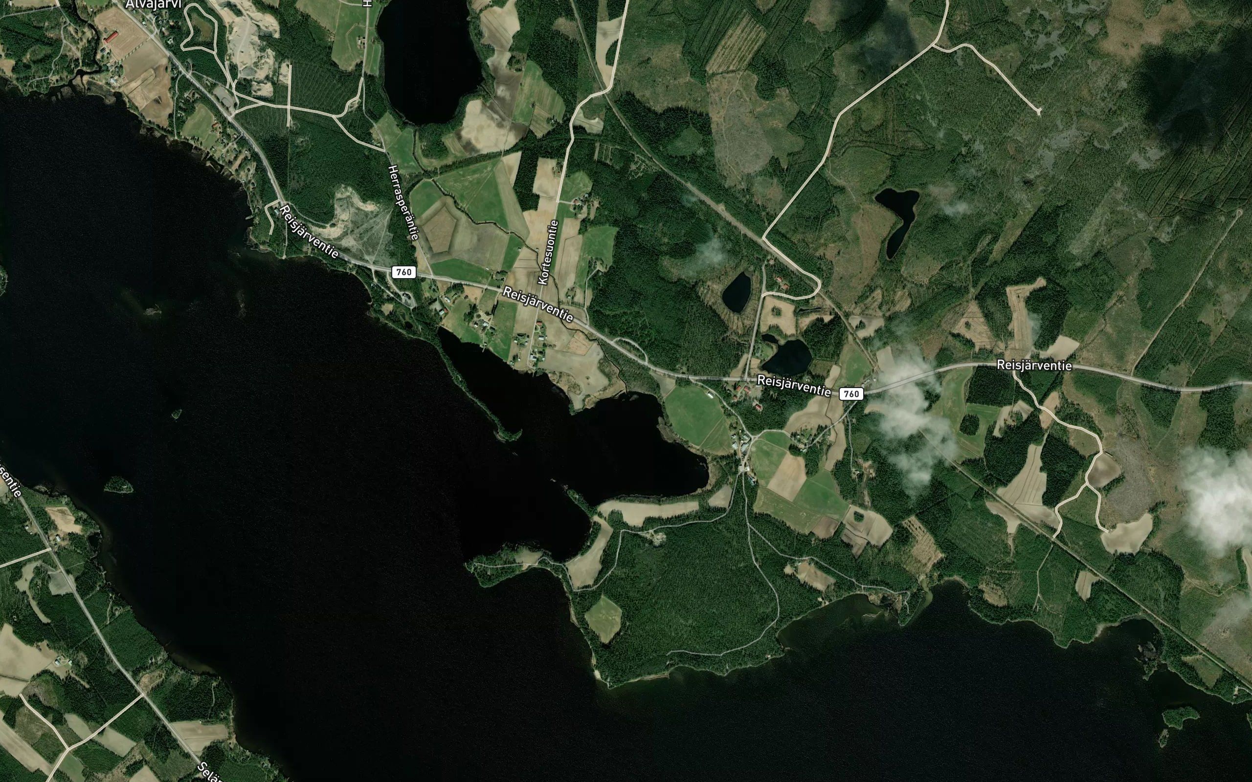 Riihijoki