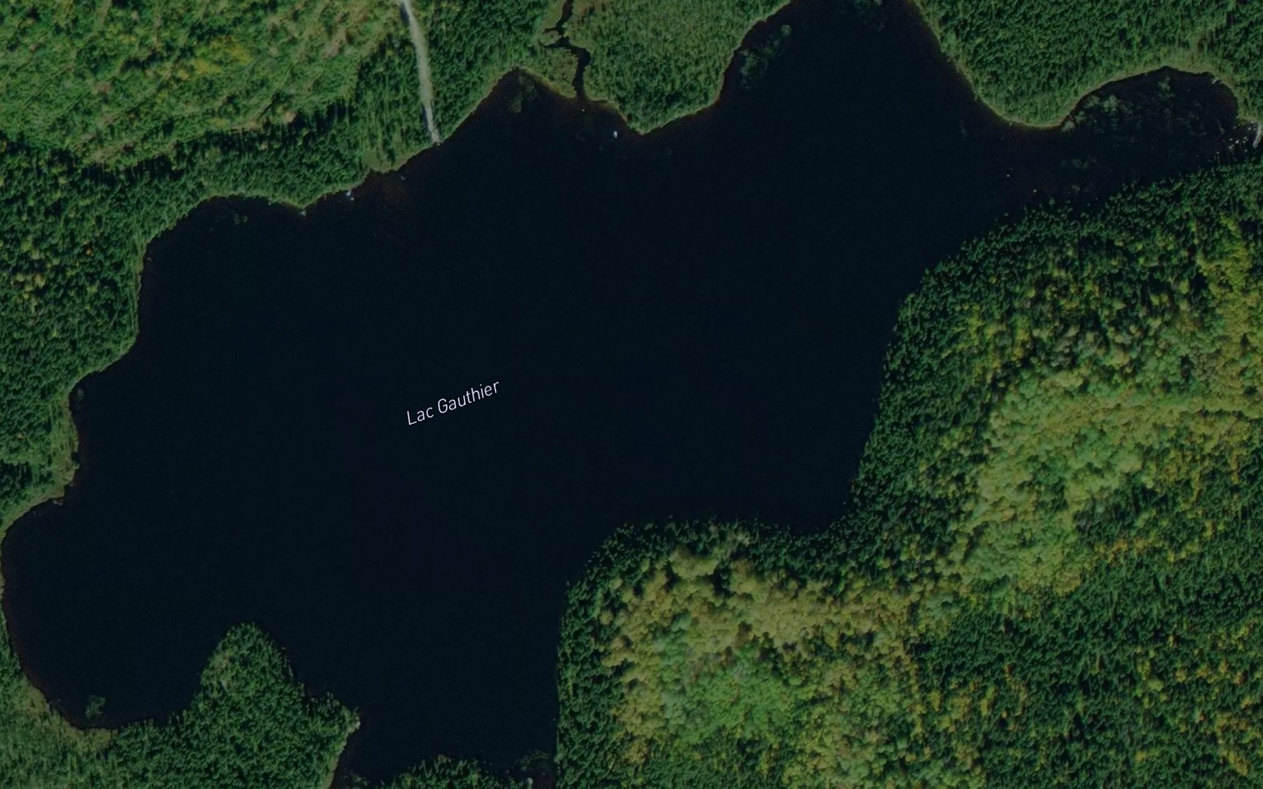 Satellite map of the Lac Gauthier