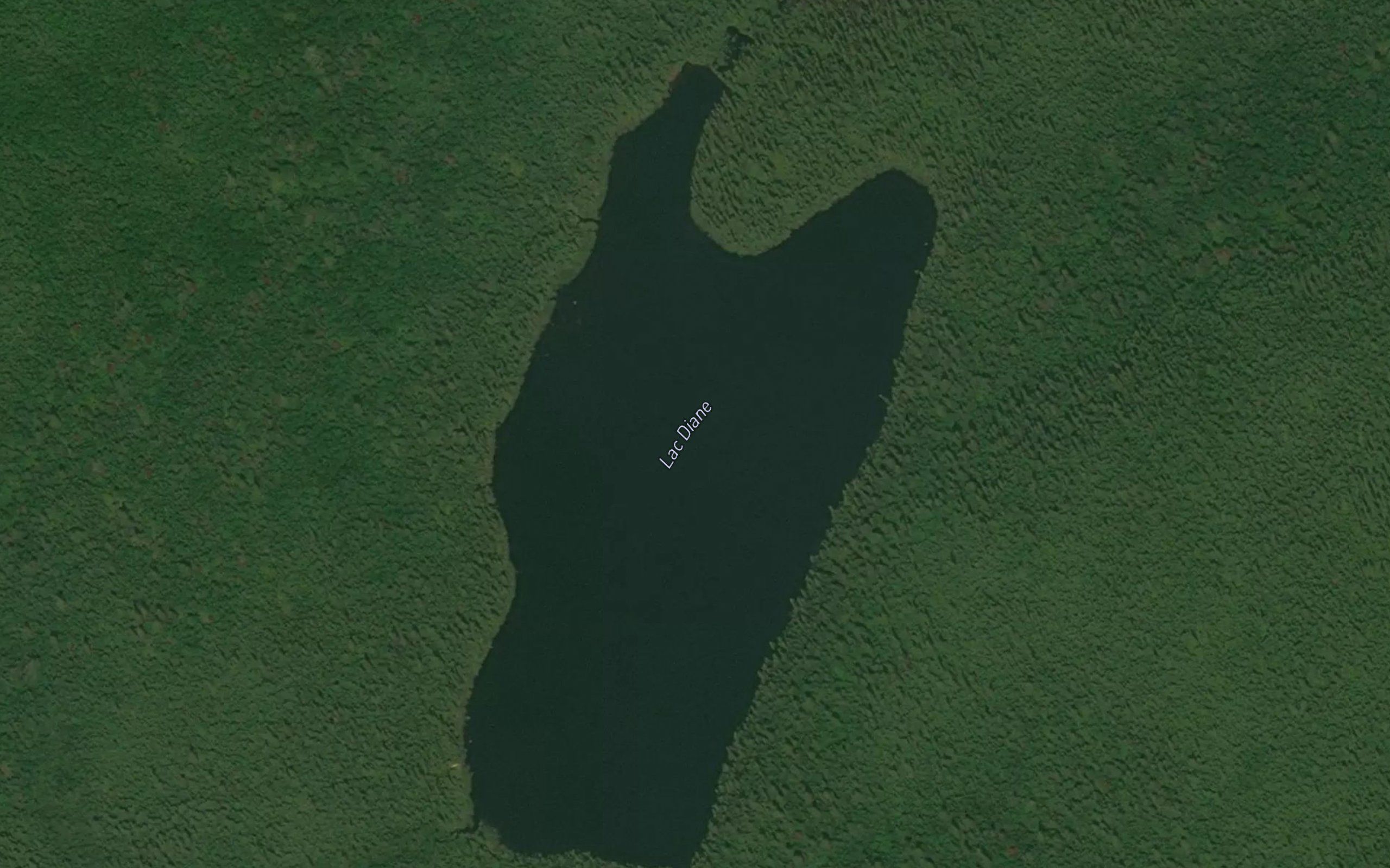 Lac Diane