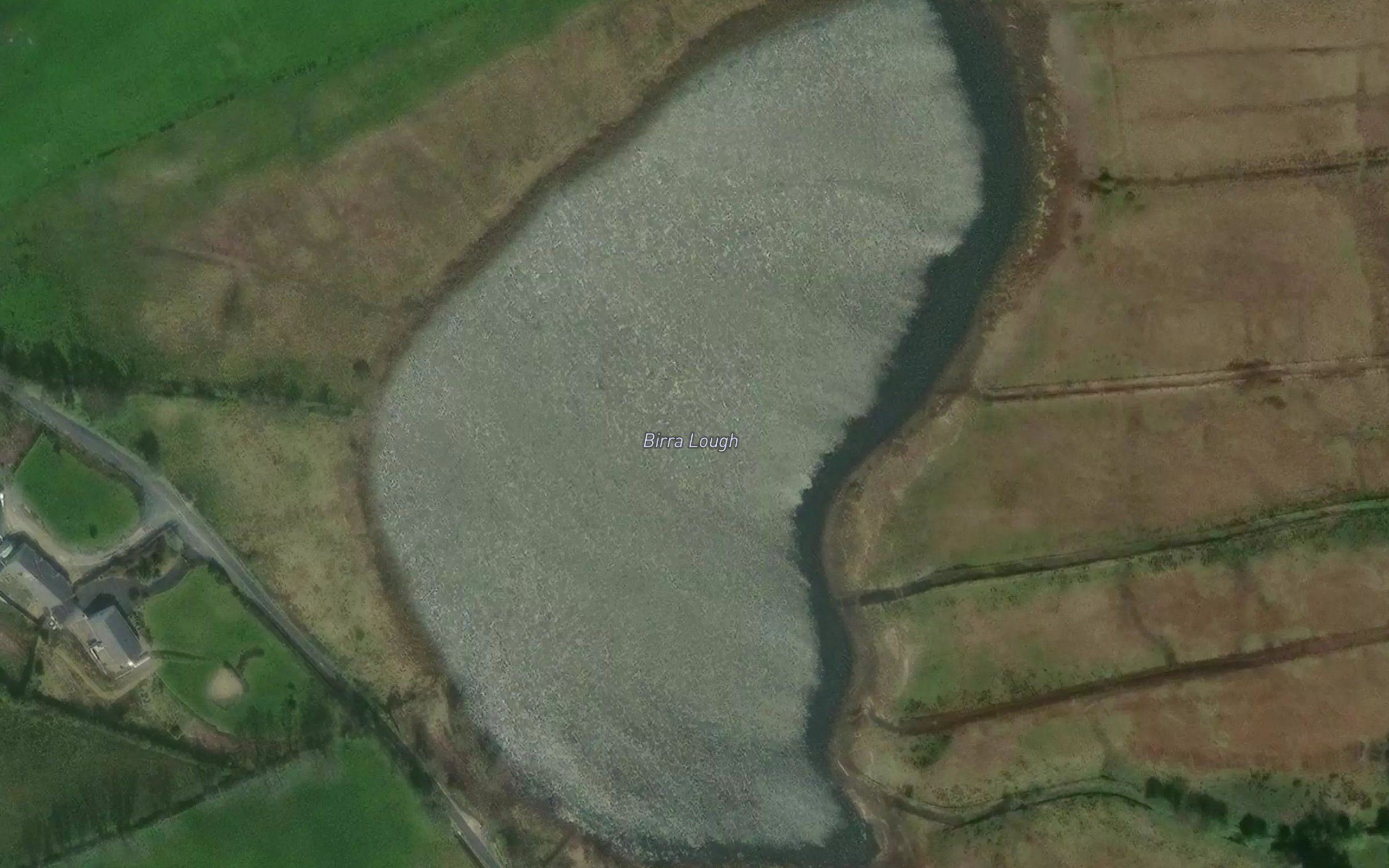 Birra Lough