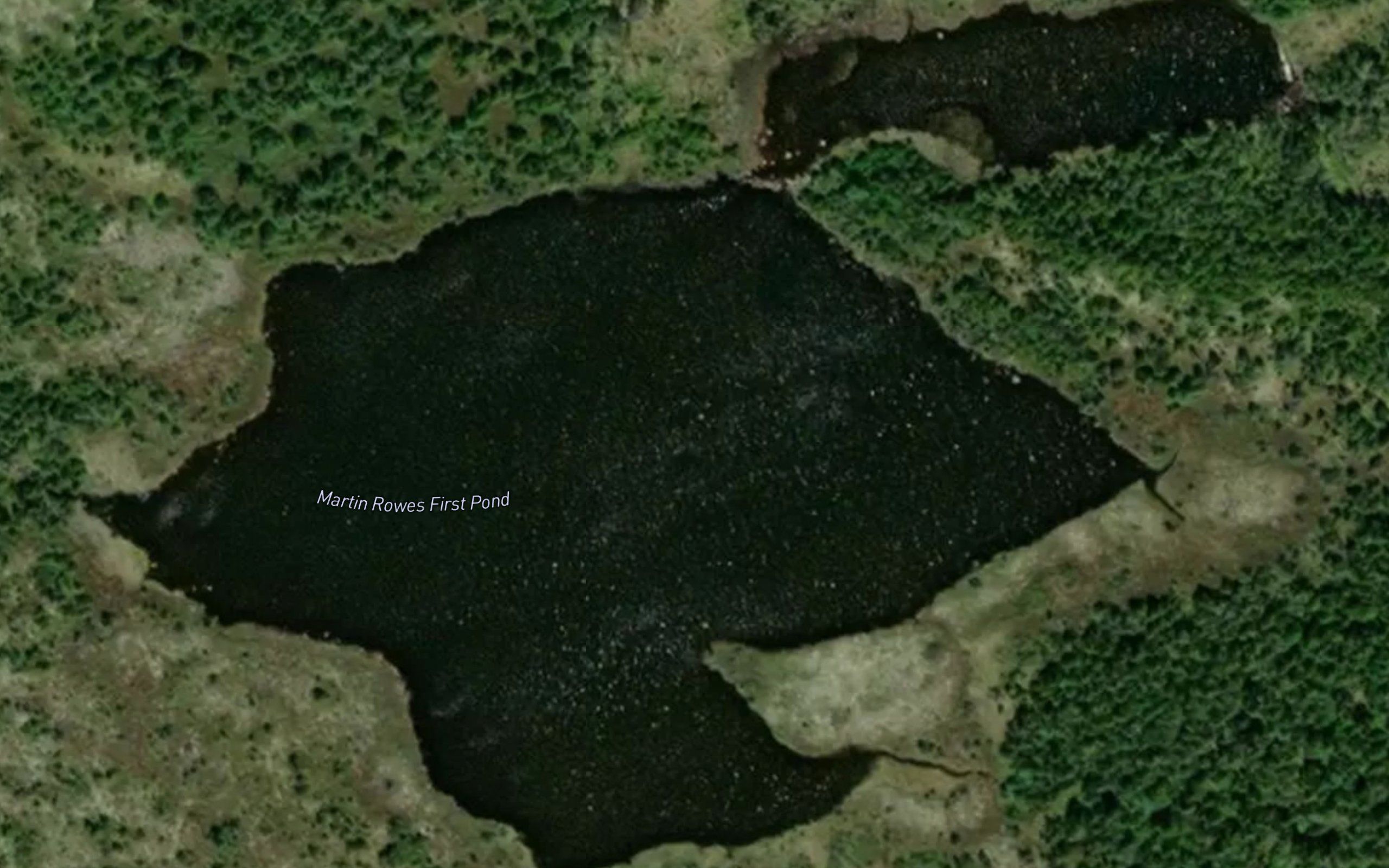 Martin Rowes First Pond
