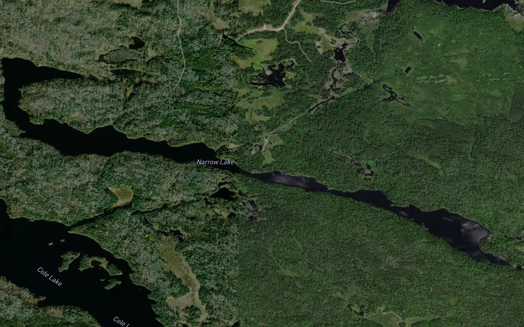 Satellite map of the Narrow Lake