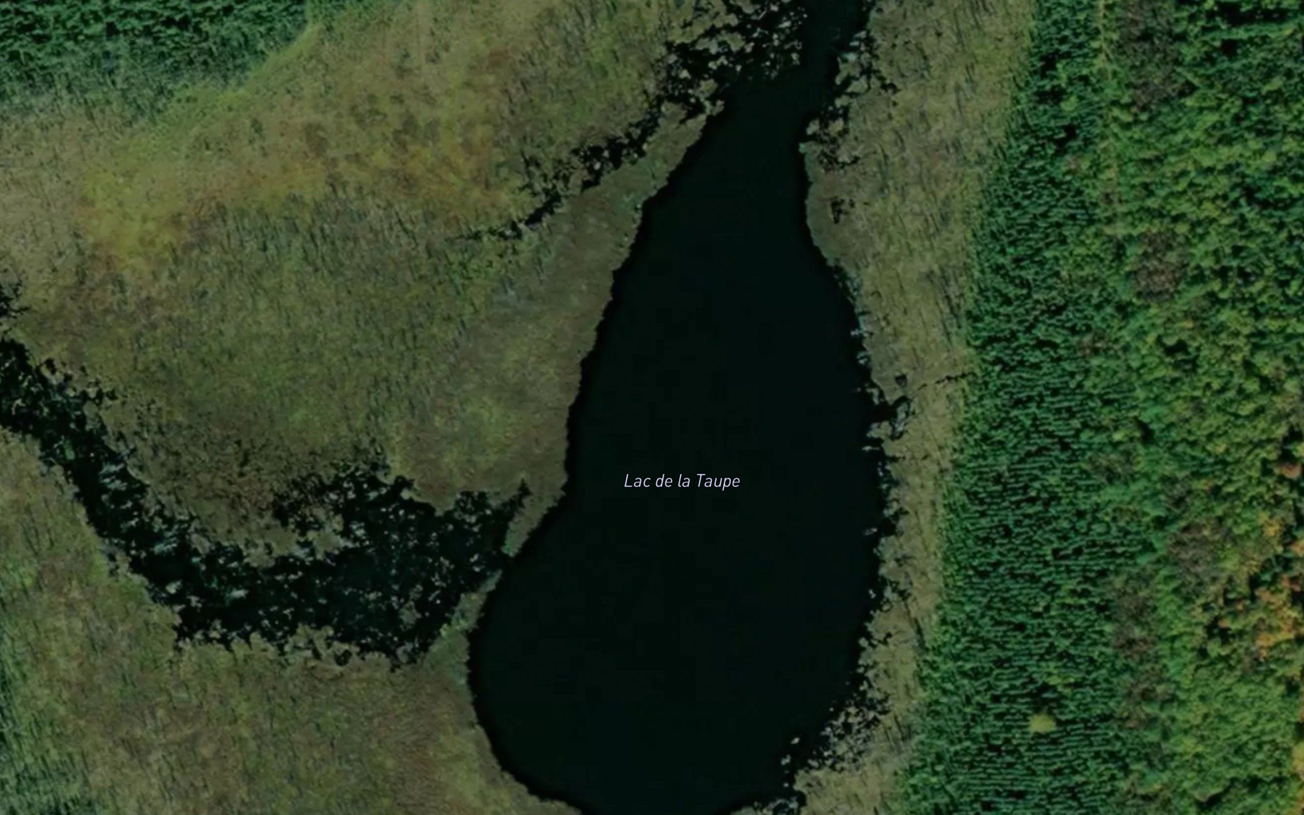 Lac de la Taupe