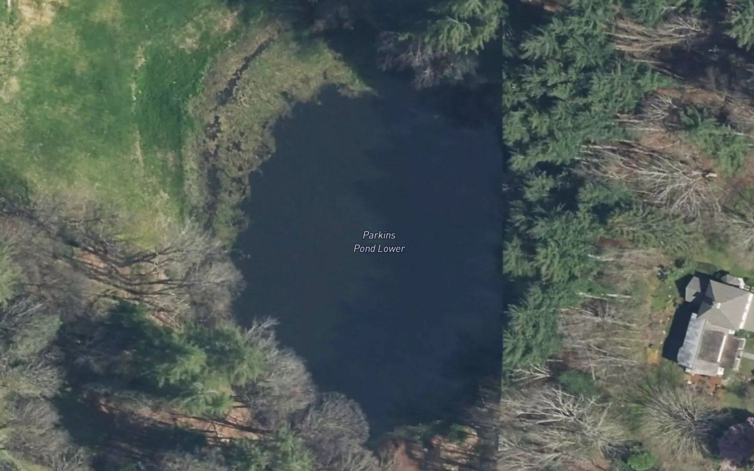Parkins Ponds