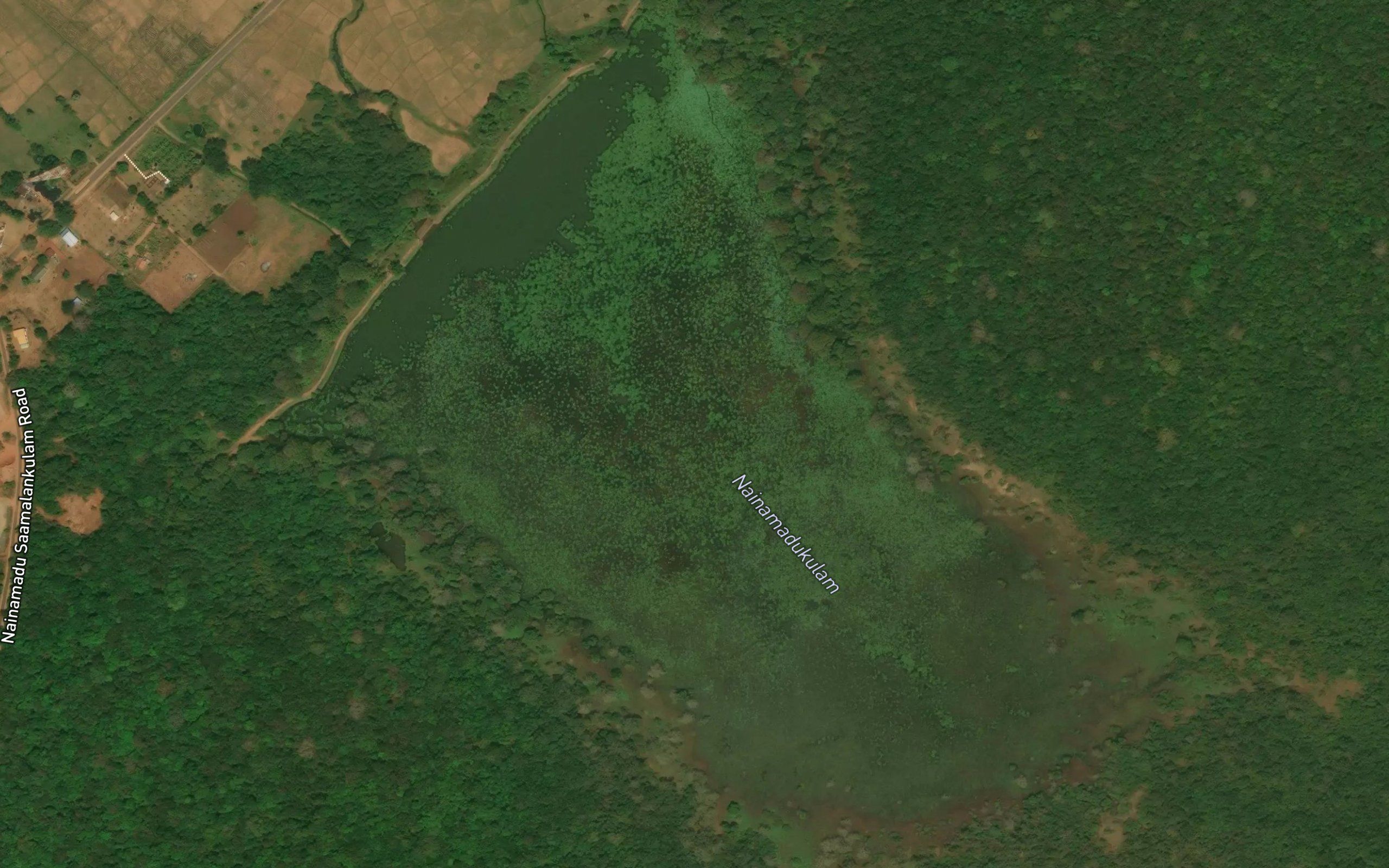 Nainamadu Kulam