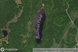 Bullhead Pond