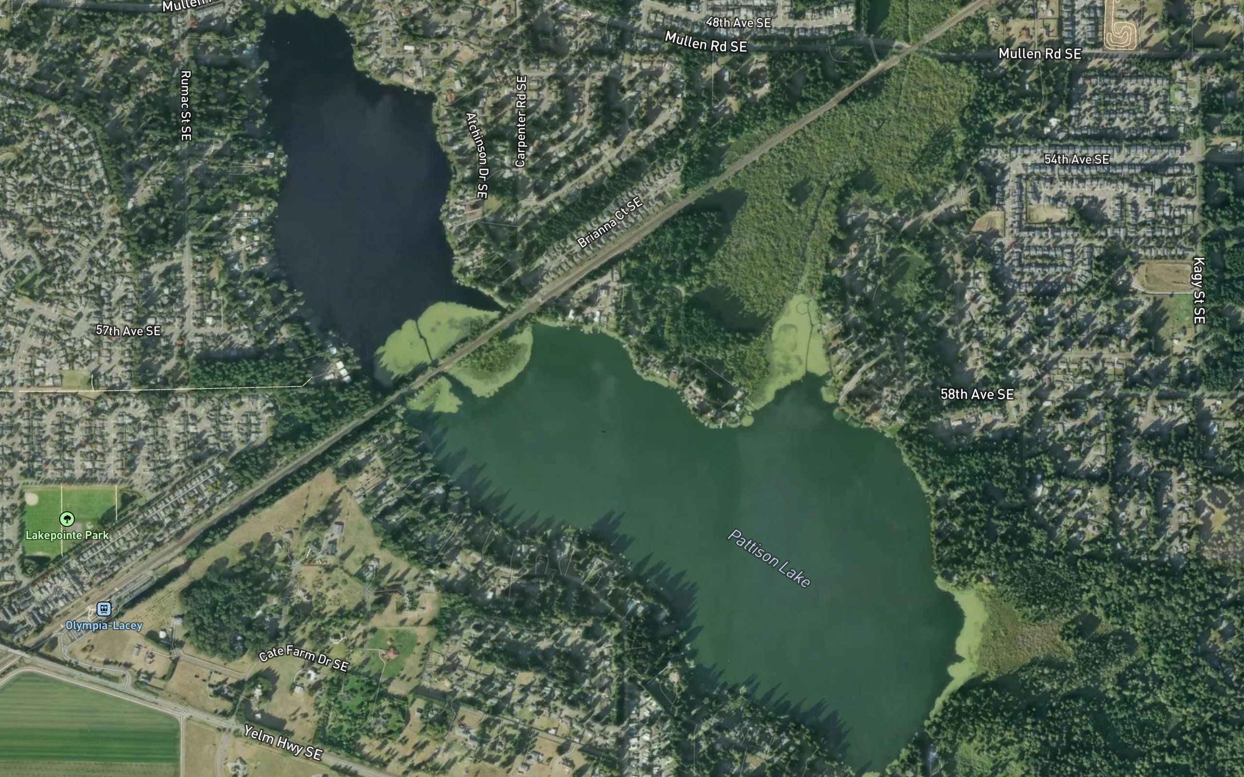 Pattison Lake