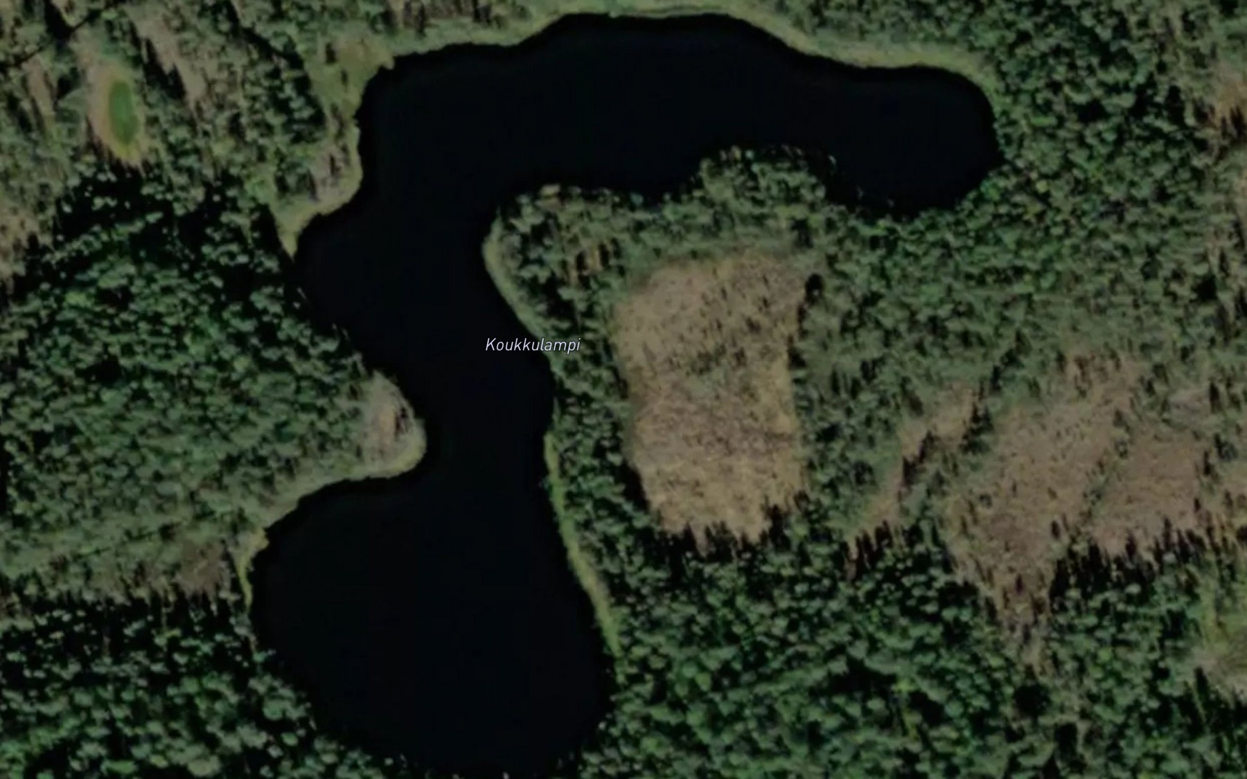 Satellite map of the Koukkulampi