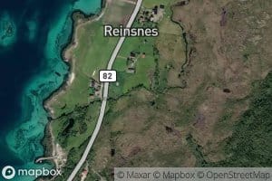 Reinsneselva