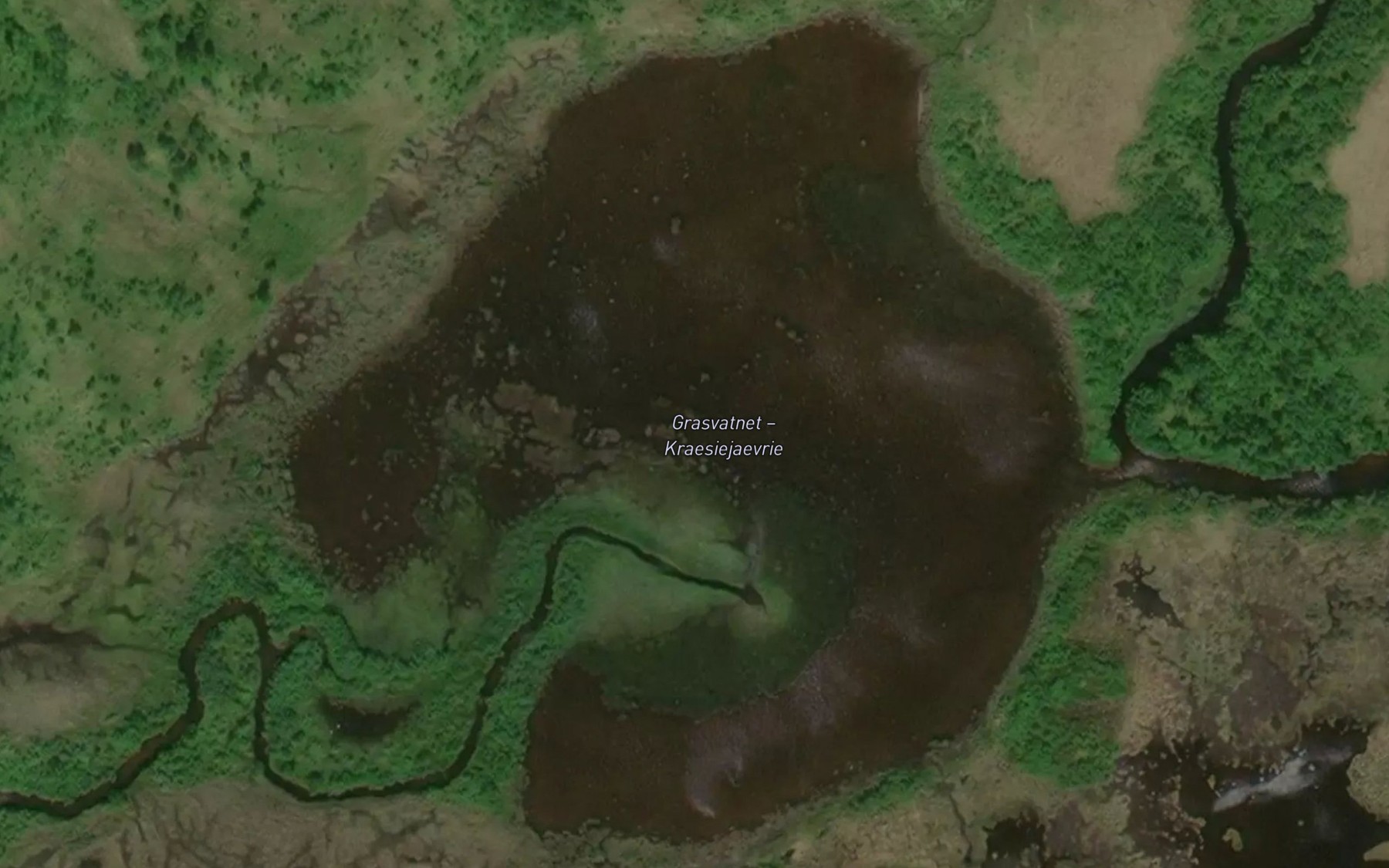 Satellite map of the Grasvatnet