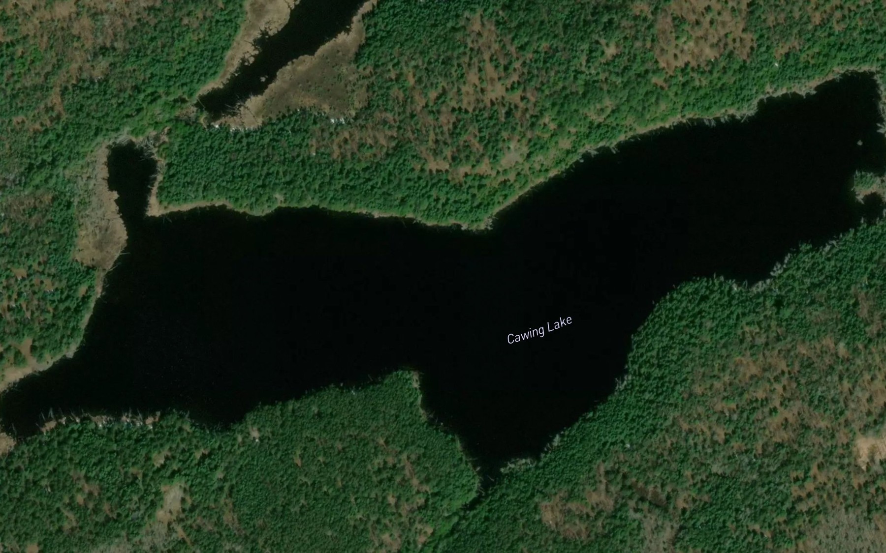 Satellite map of the Cawing Lake