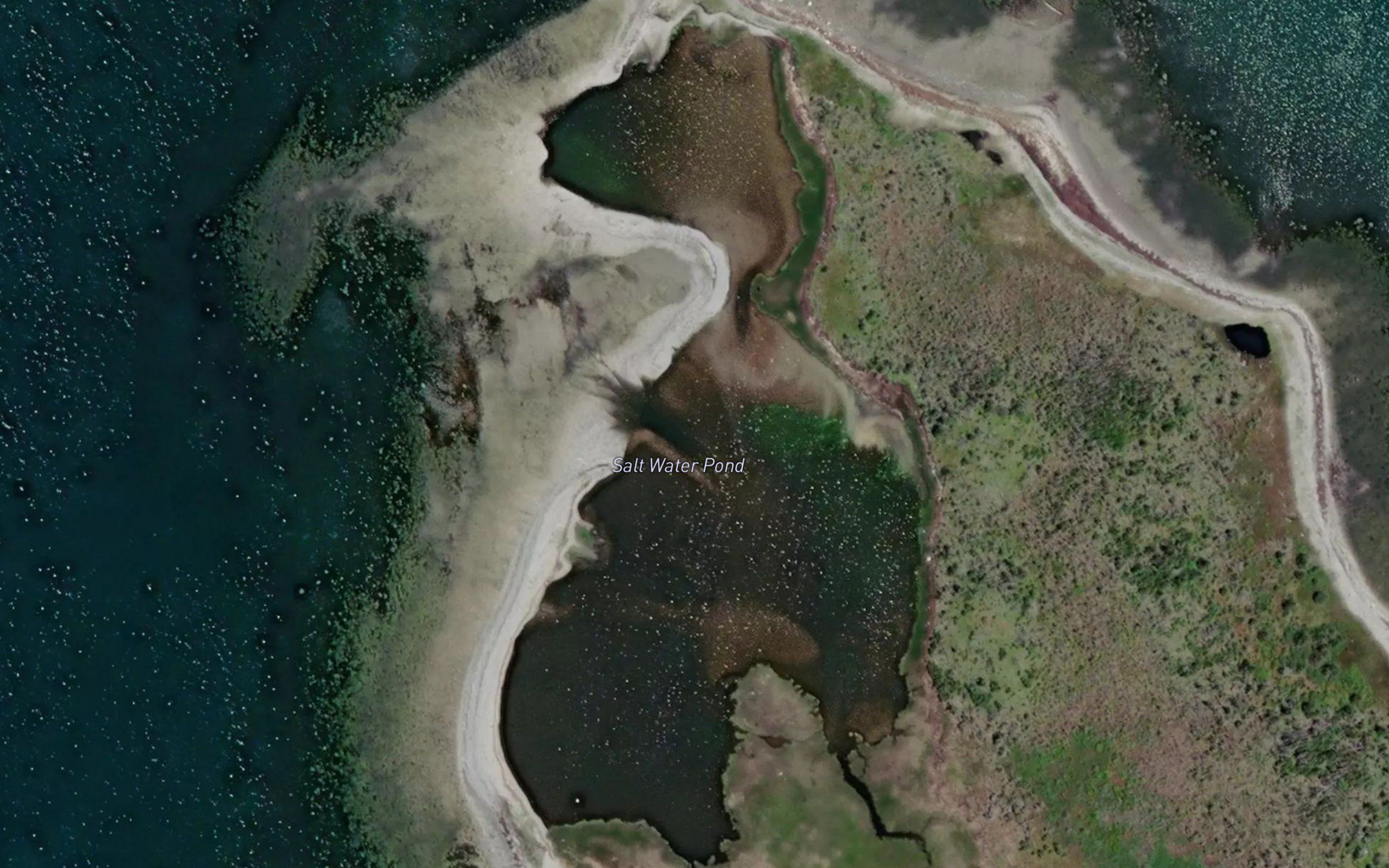 Salt Water Pond