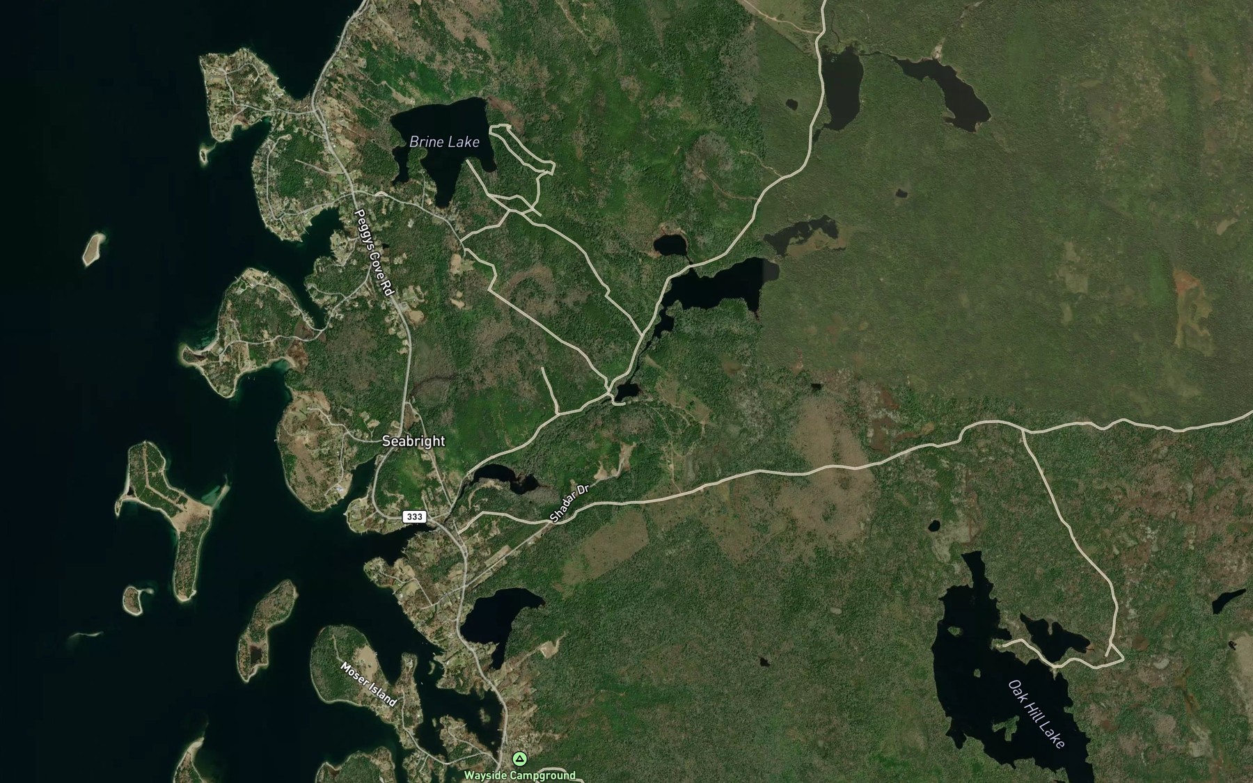 Satellite map of the Old Mill Pond