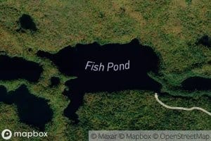 Fish Pond