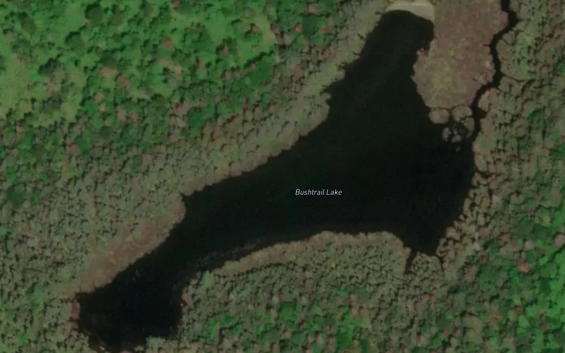 Satellite map of the Bushtrail Lake