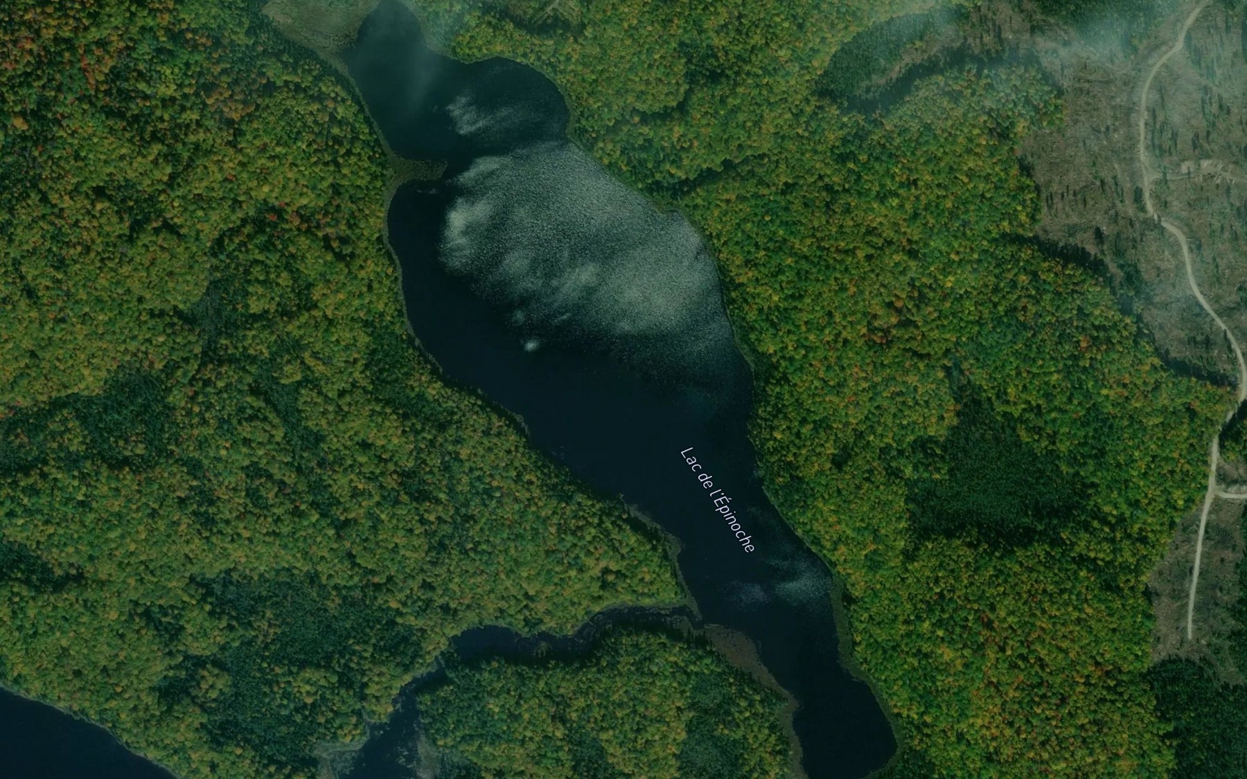 Satellite map of the Lac de l'Epinoche