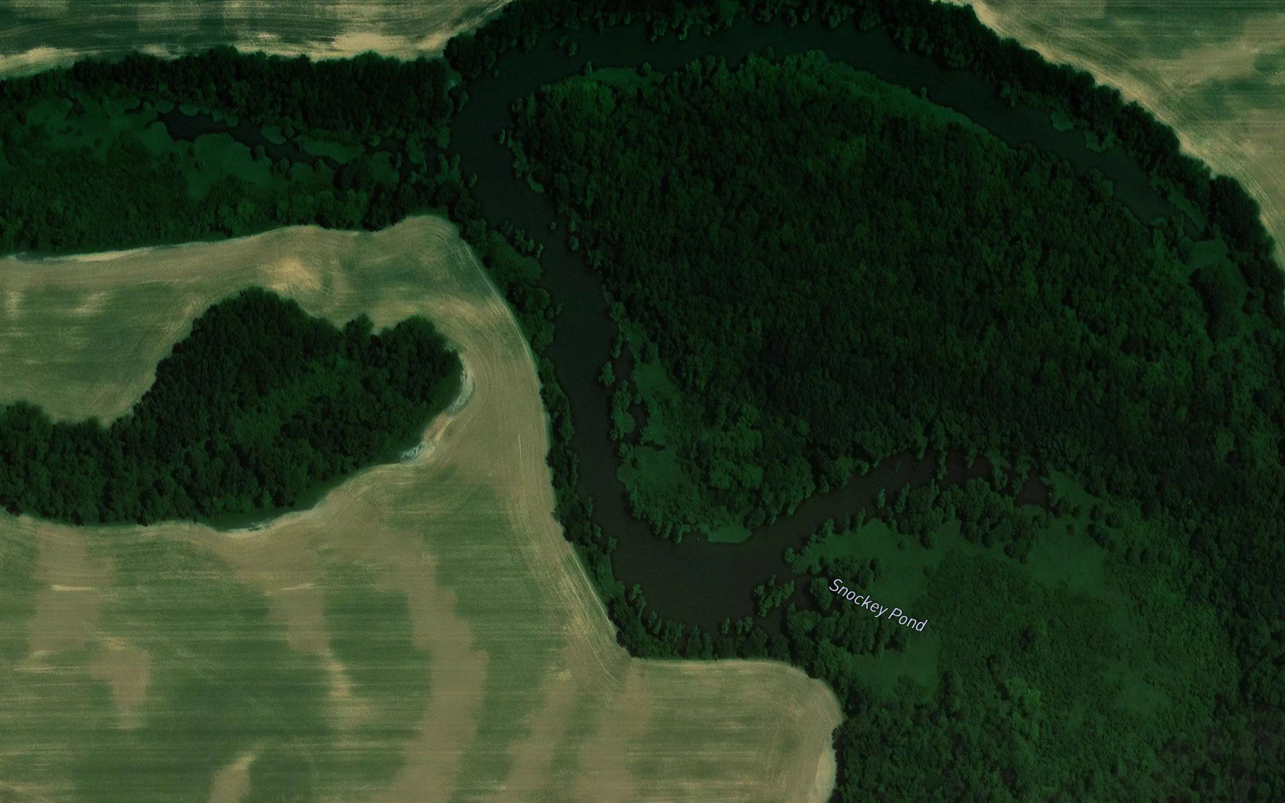 Snockey Pond
