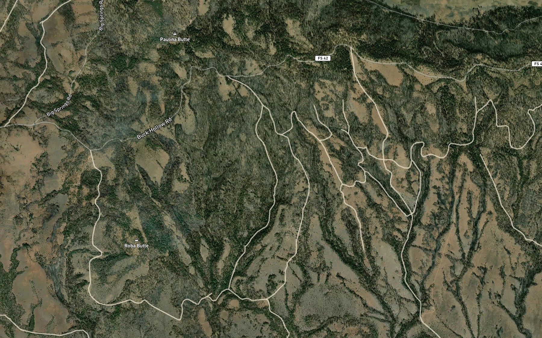 Satellite map of the Roba Spring
