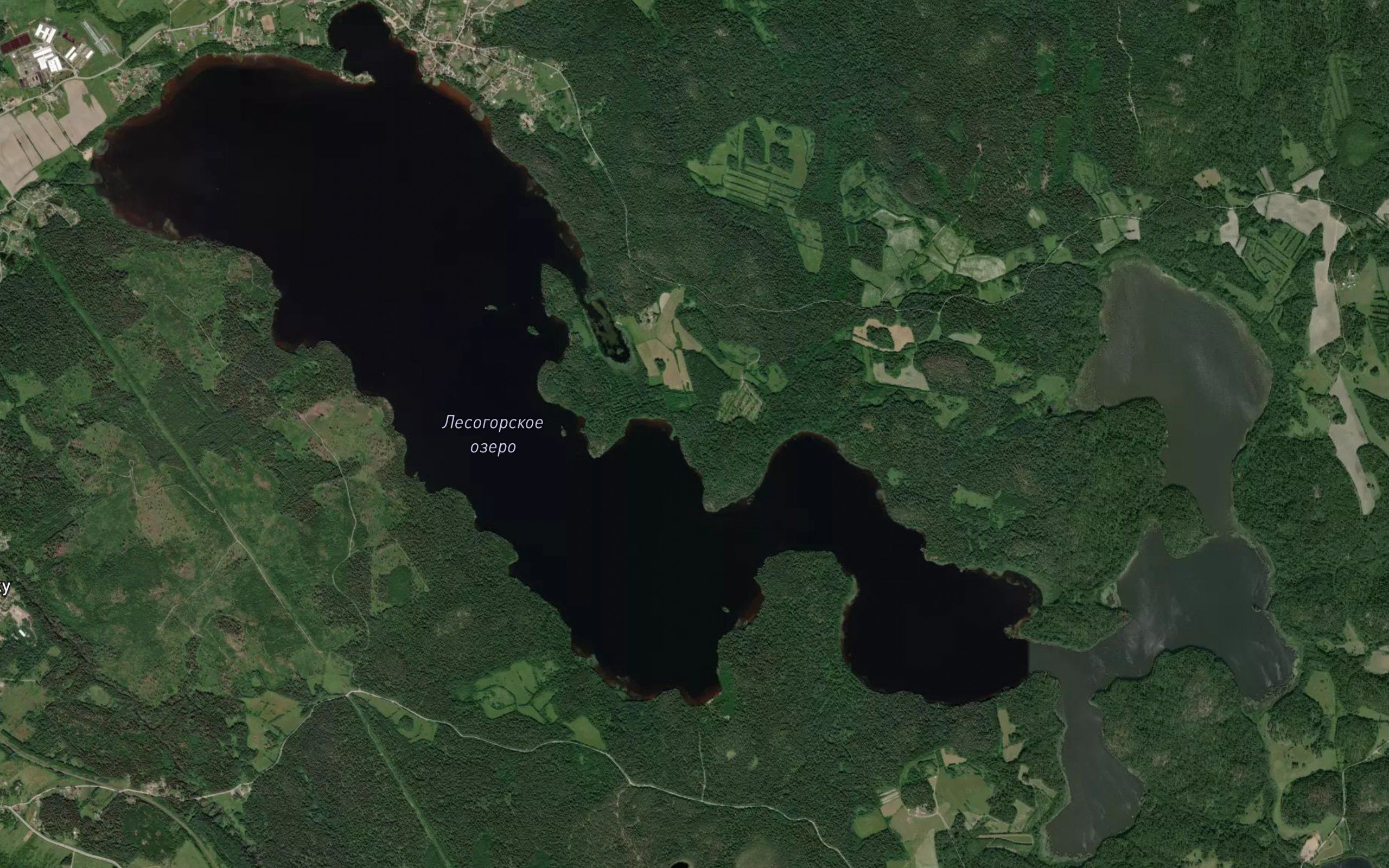 Ozero Lesogorskoye
