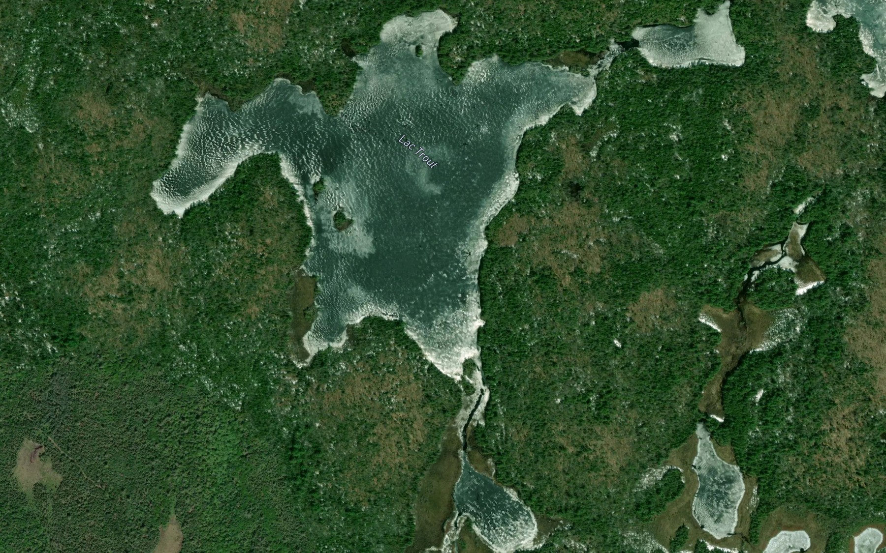 Satellite map of the Lac Trout