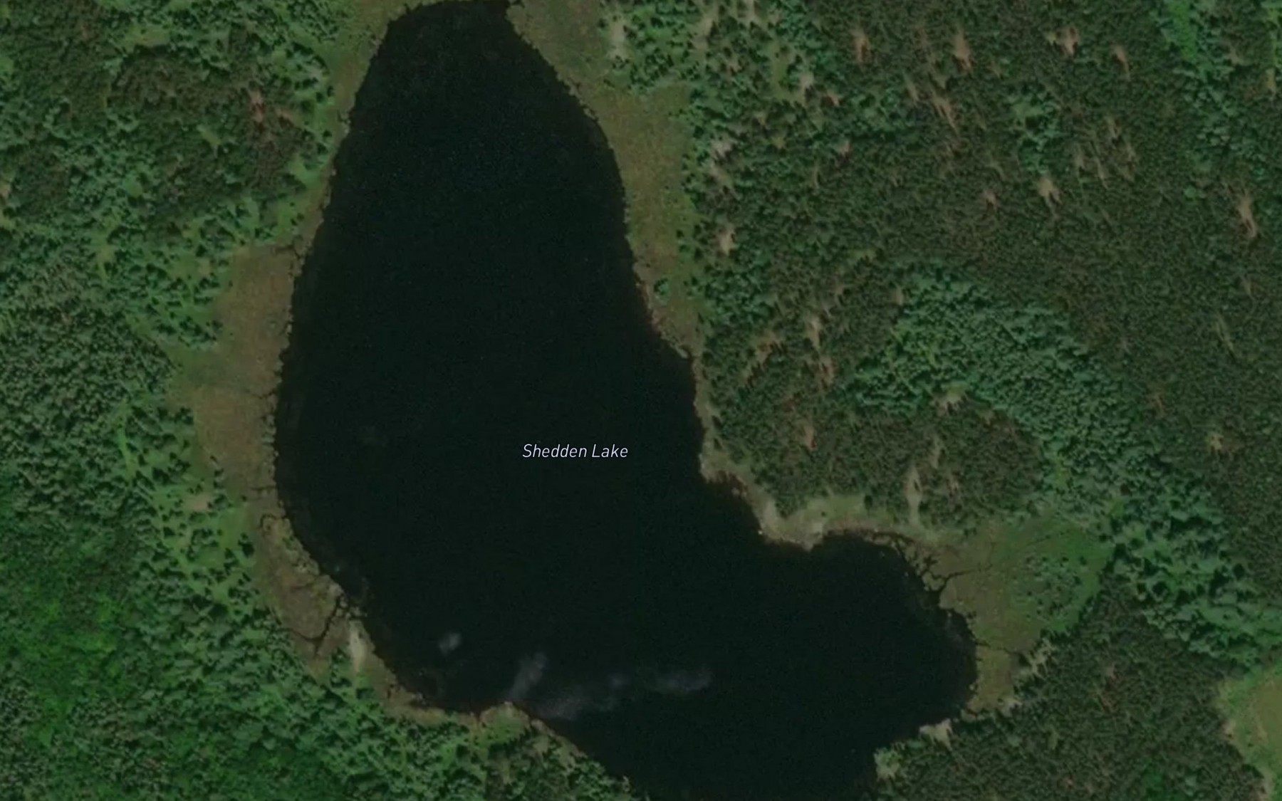 Satellite map of the Shedden Lake