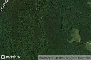 Indian Charlie Branch