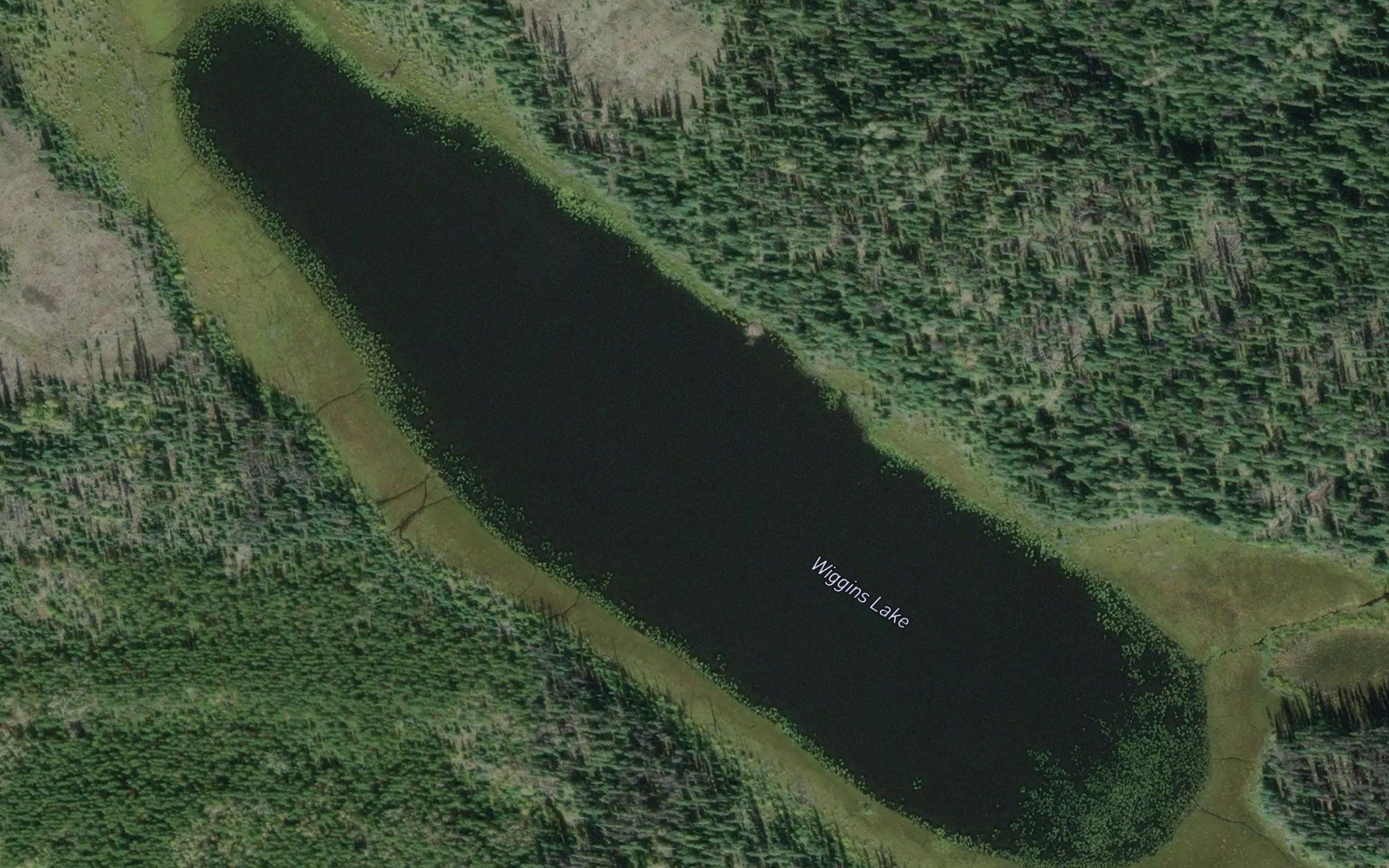 Wiggins Lake