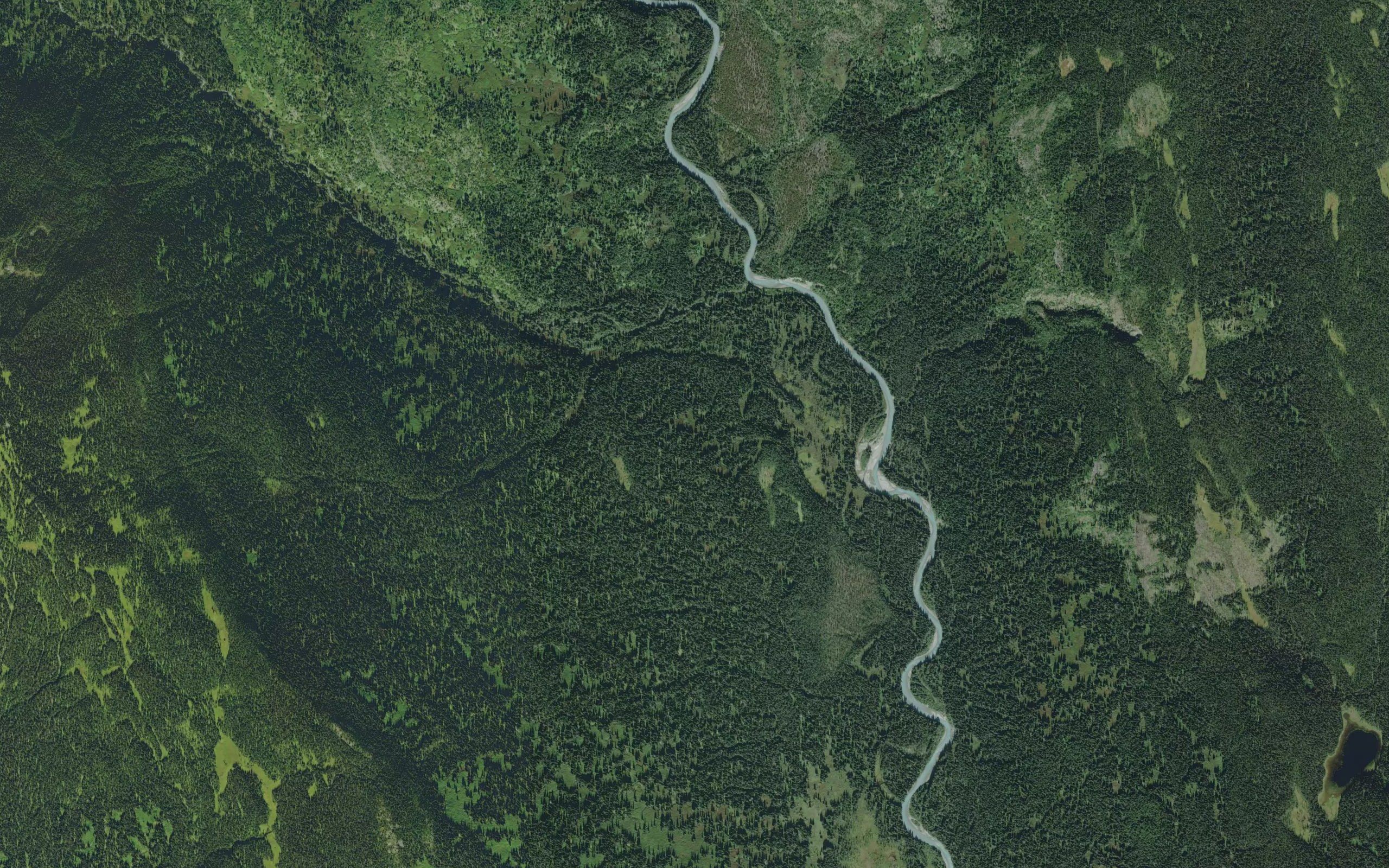 Cayuse Jack Creek