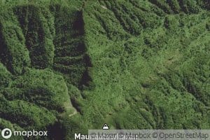 Te Putahaehae Stream