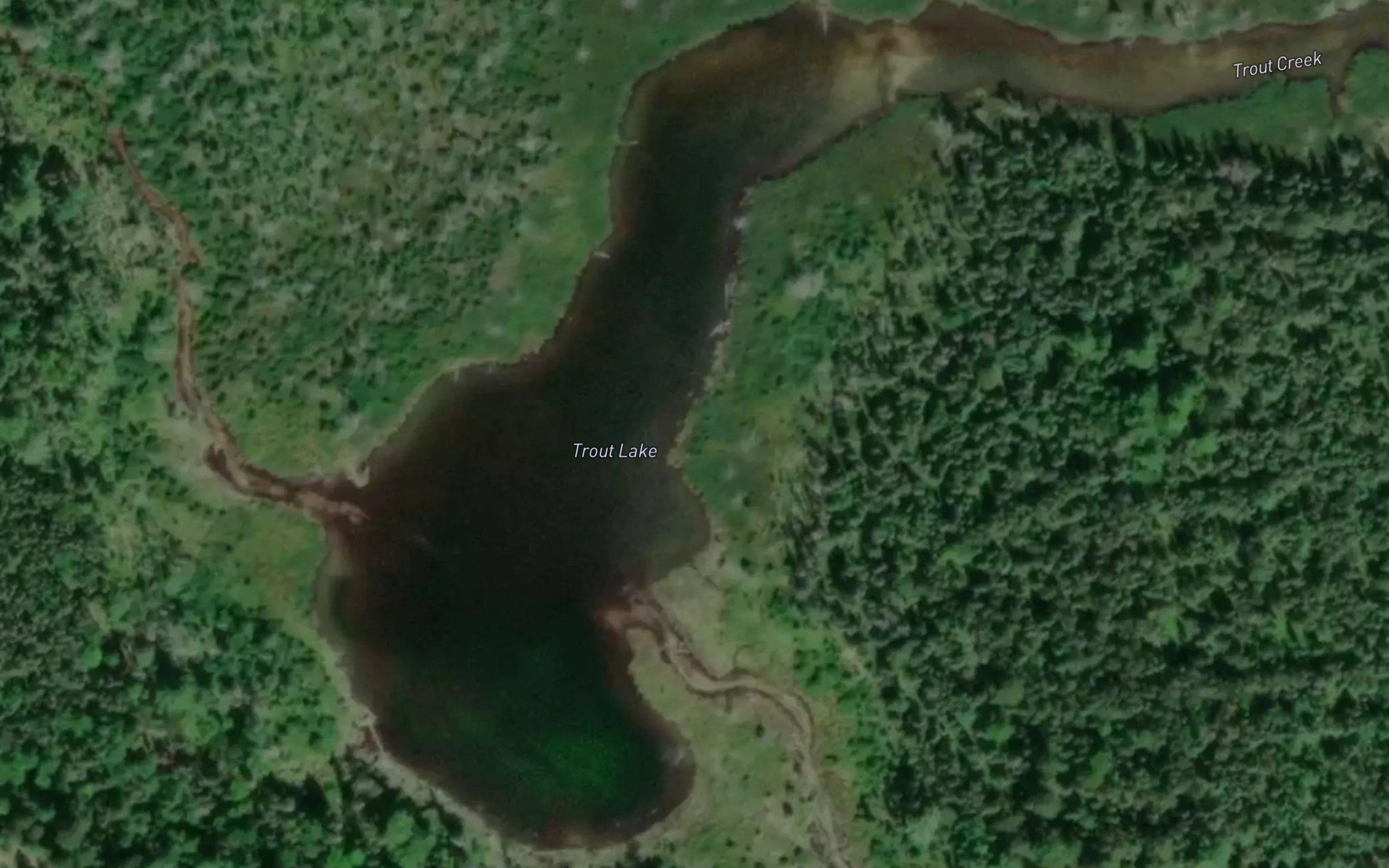 Trout Lake