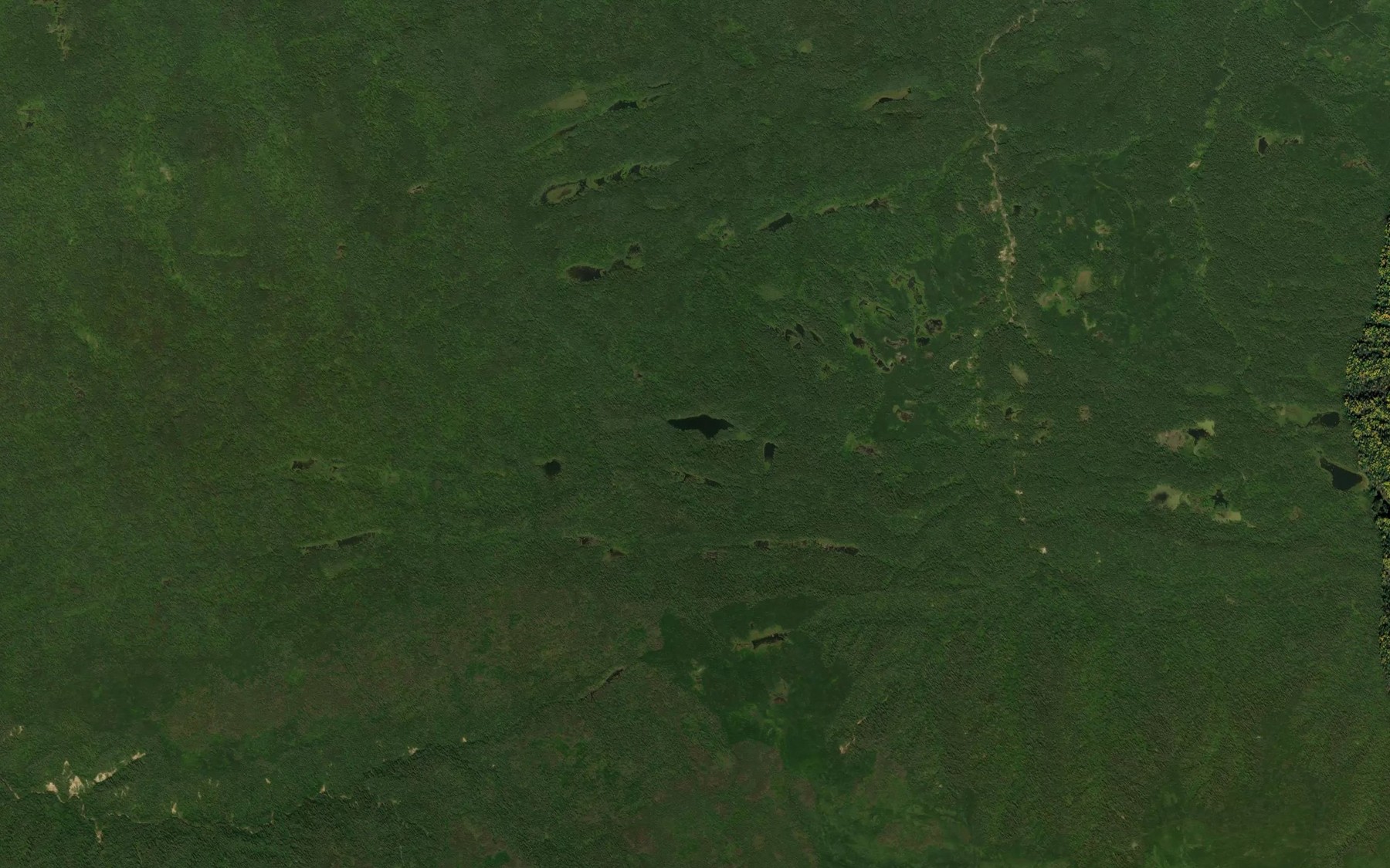 Satellite map of the Barrows Lake