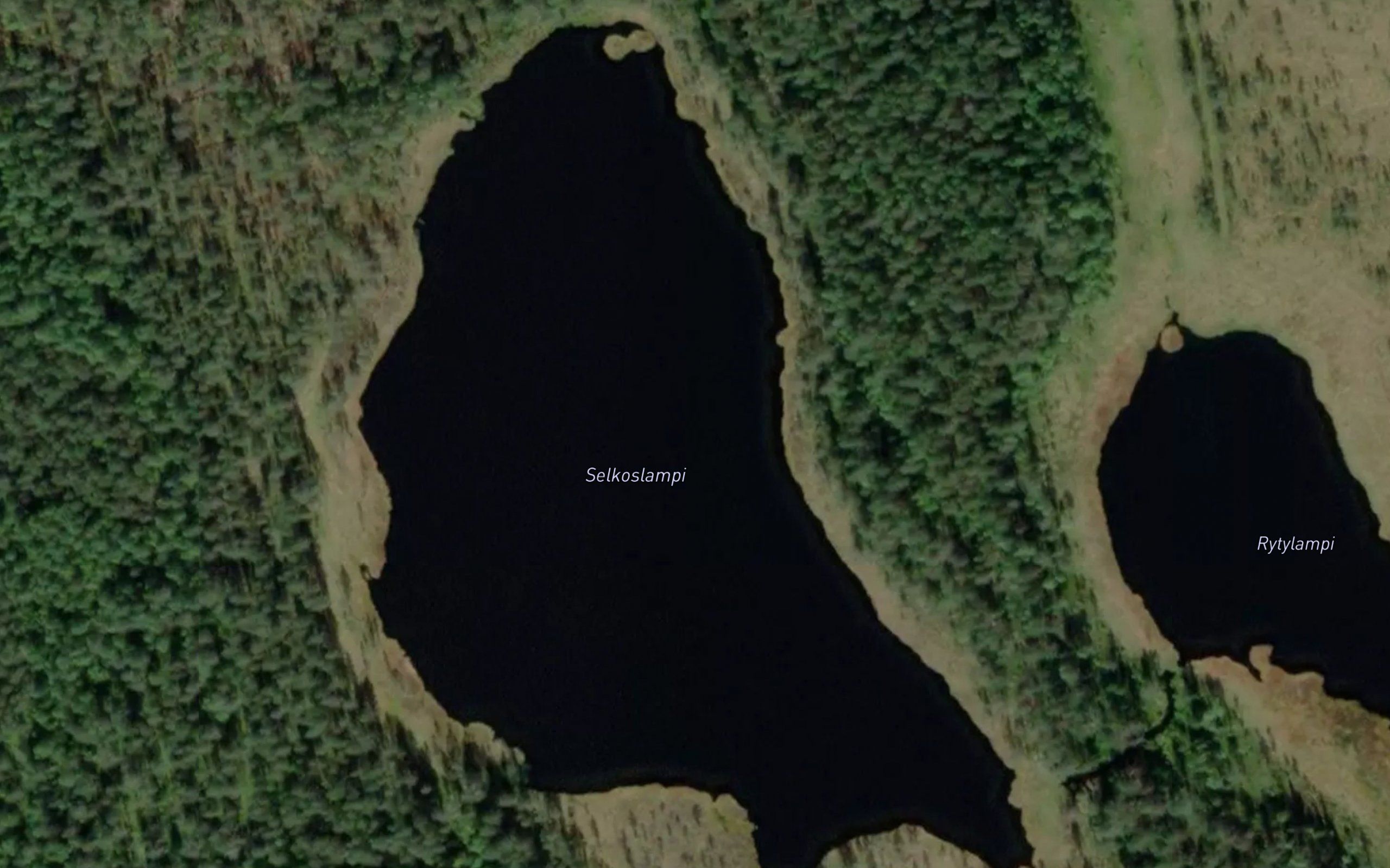 Selkoslampi