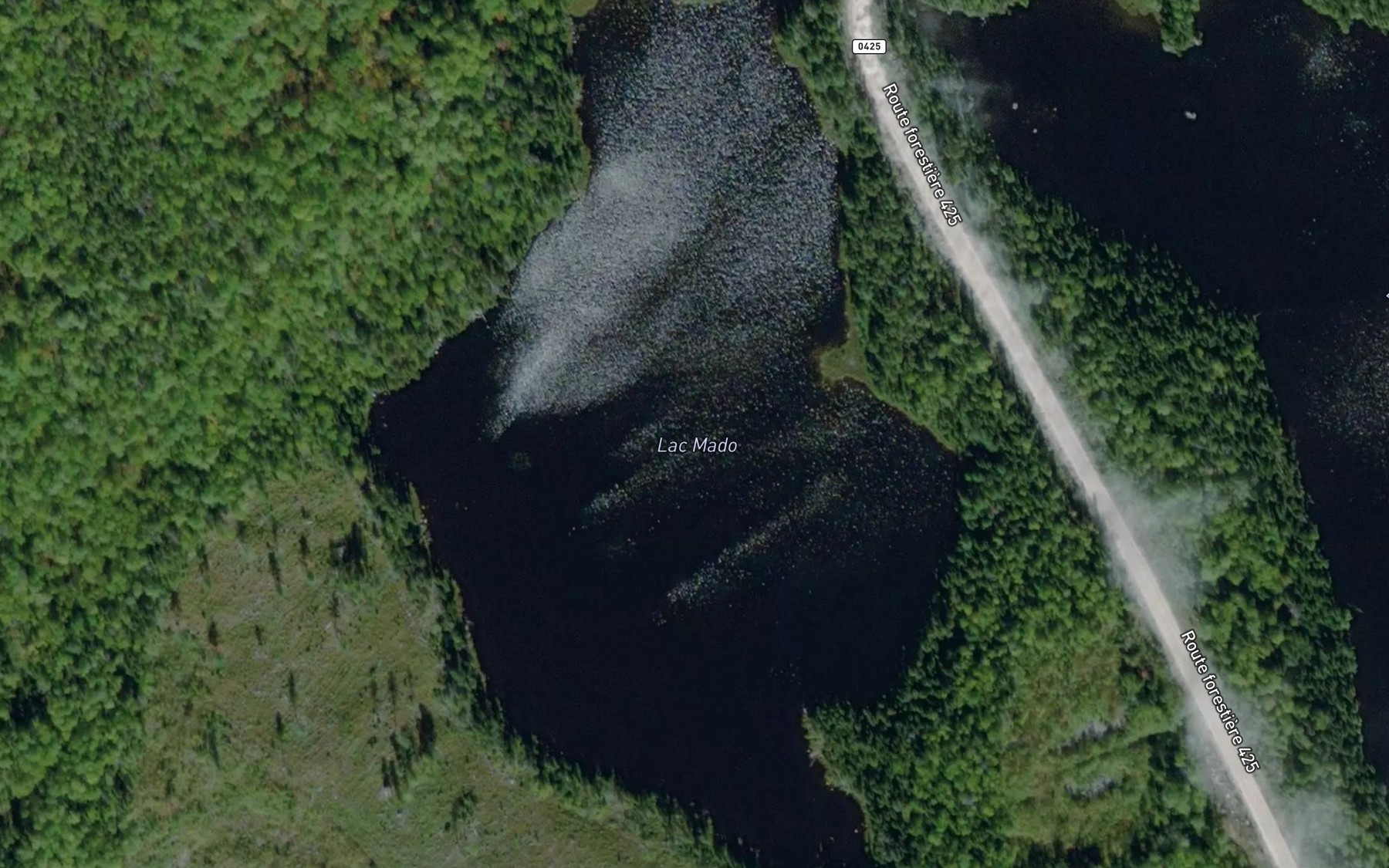Satellite map of the Lac Mado