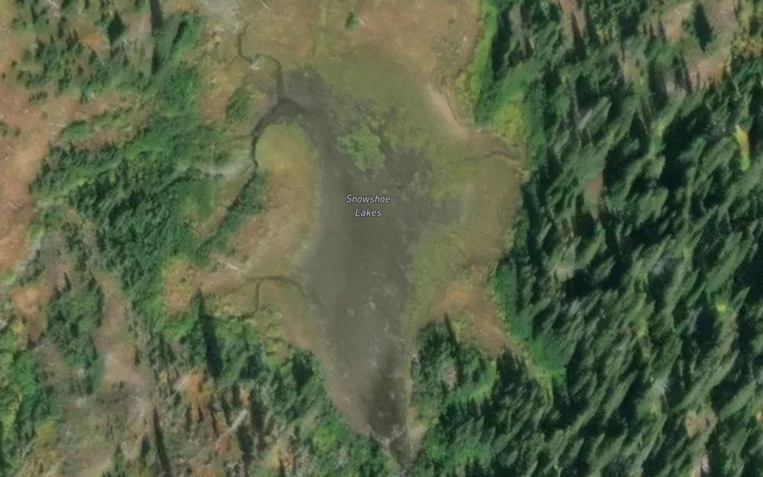 Snowshoe Lakes