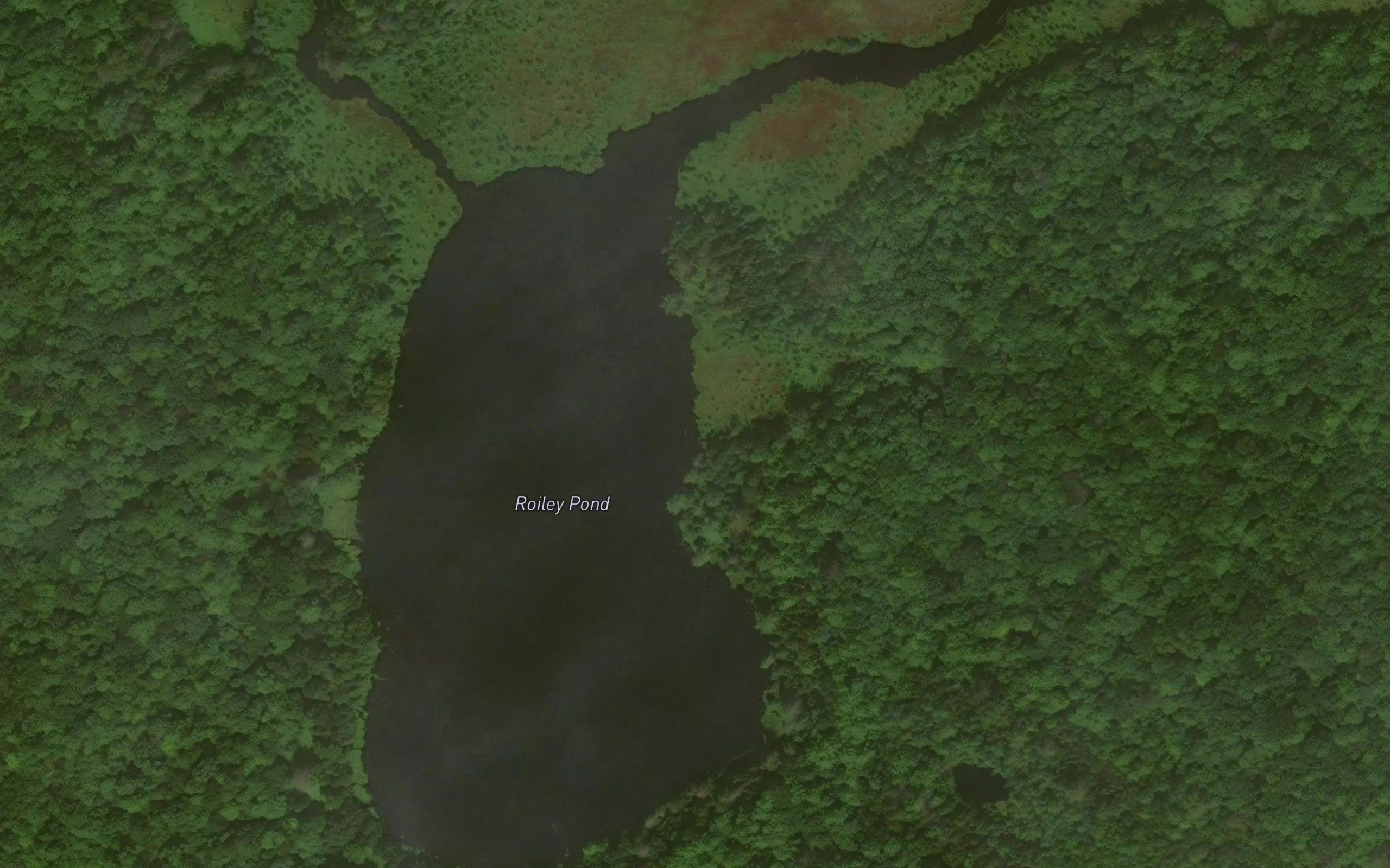 Roiley Pond