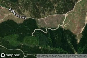 Te Iringaowhare Stream