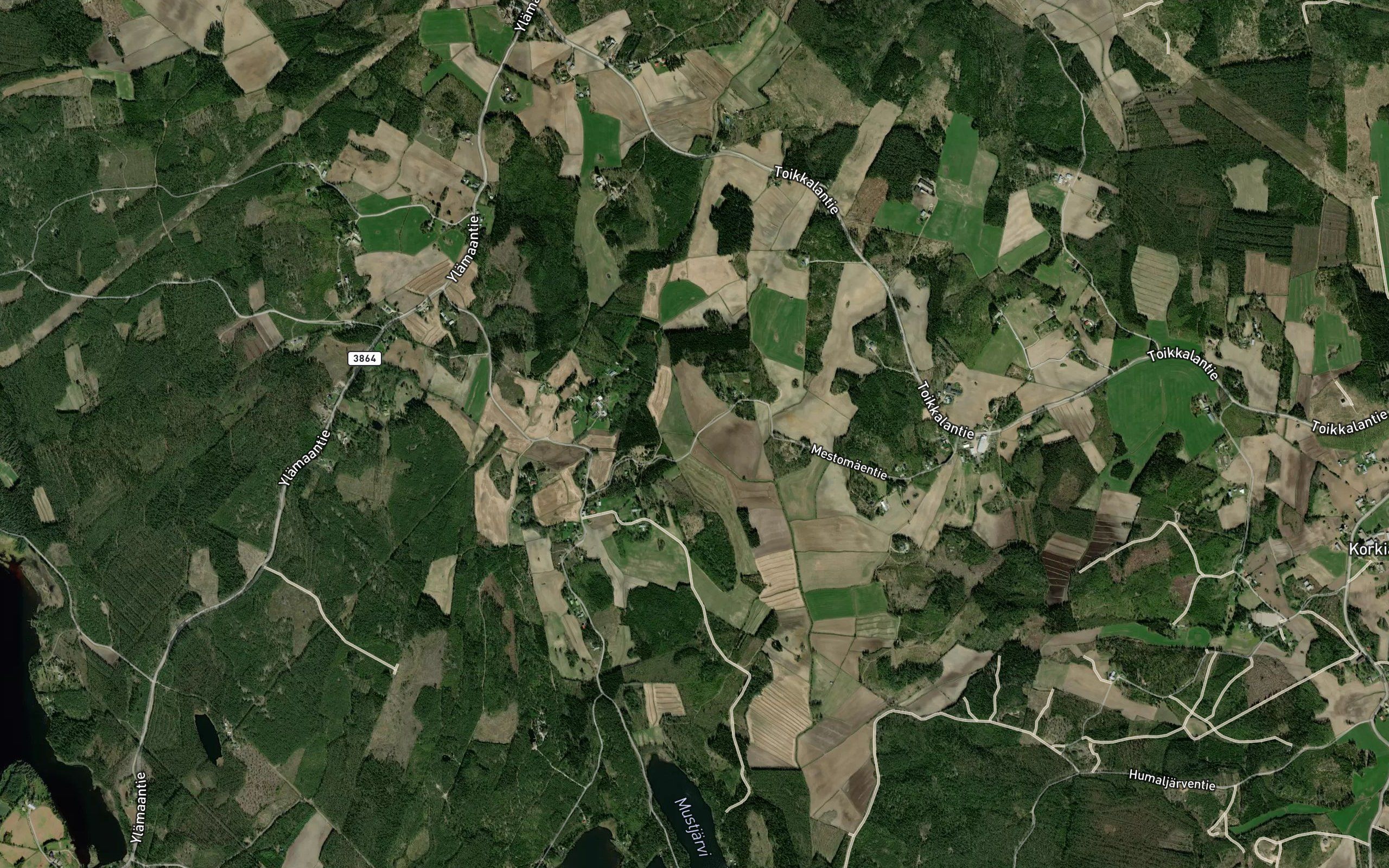 Lammasoja