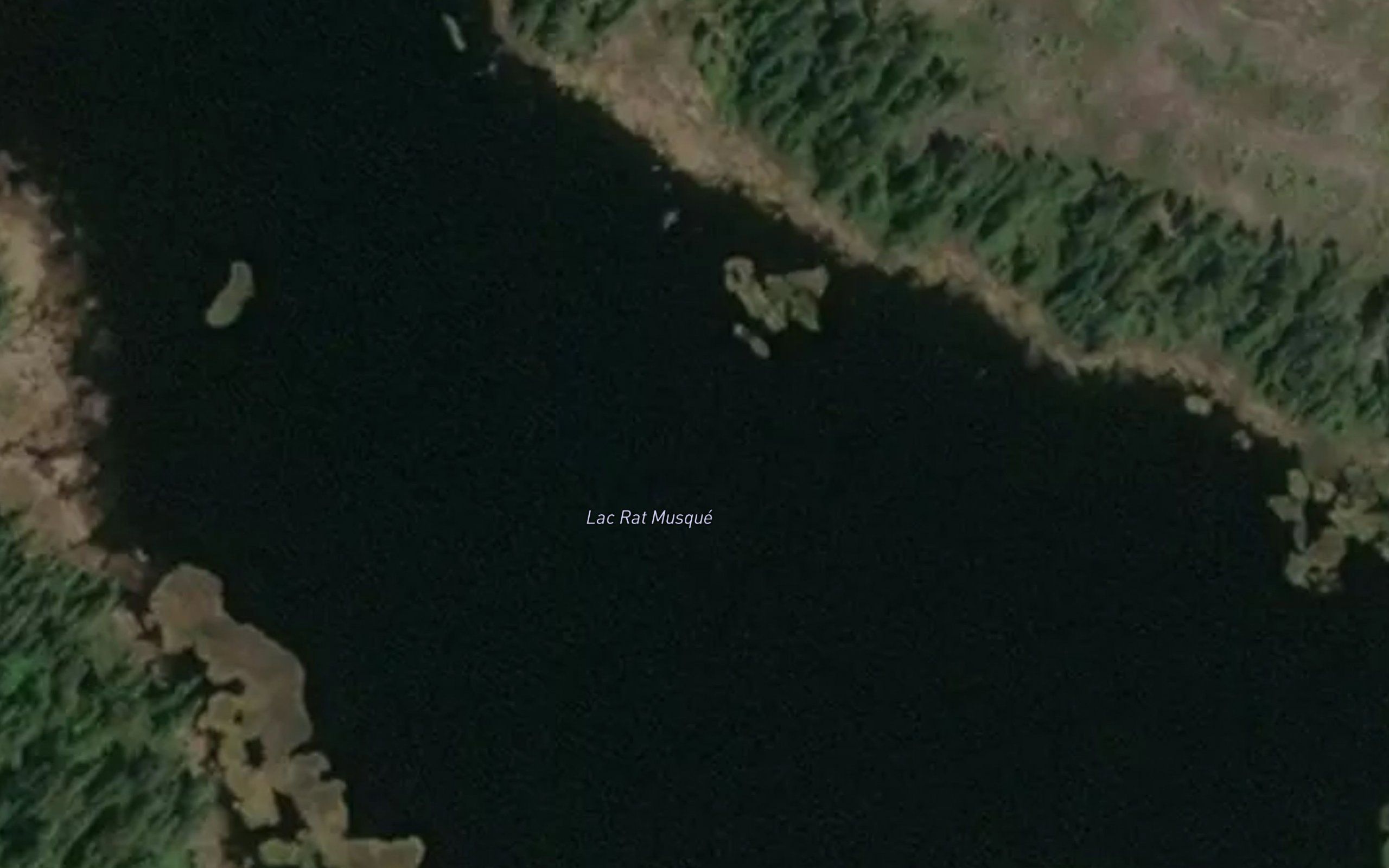 Lac Rat Musque