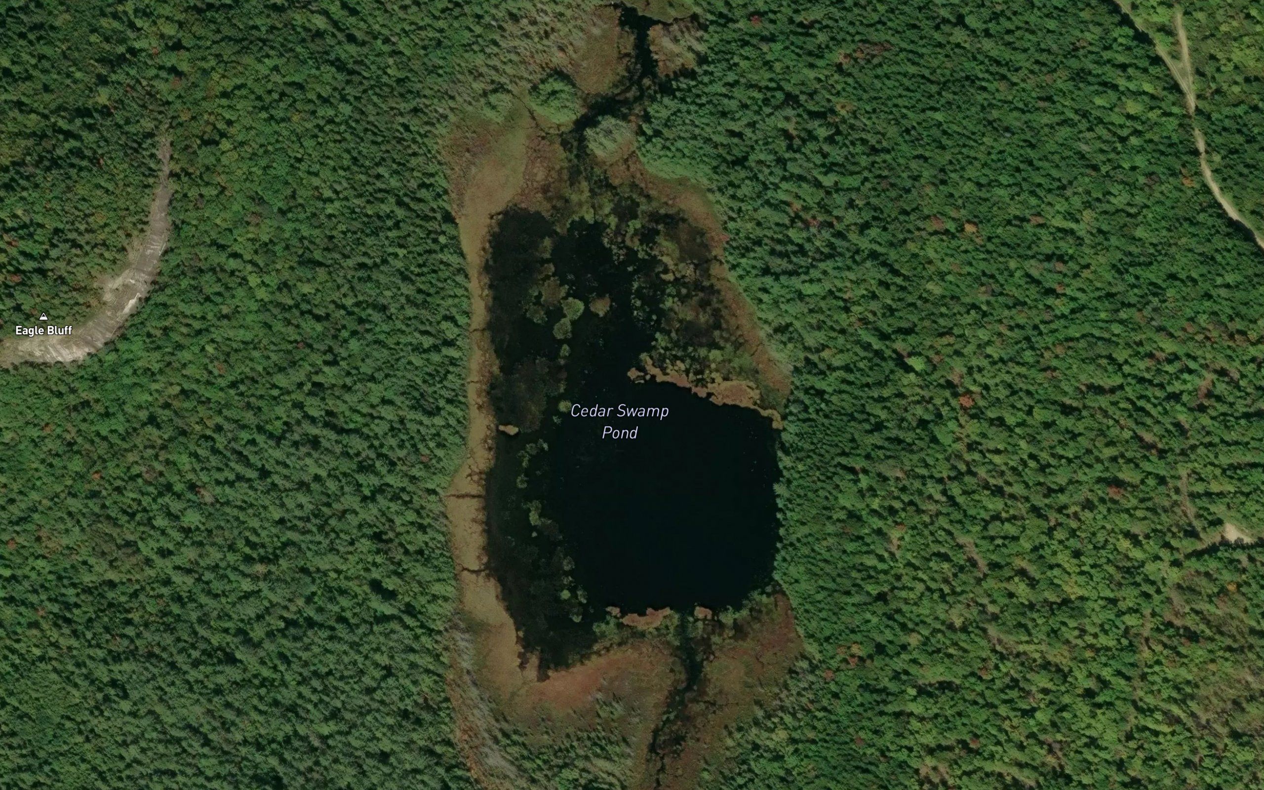 Cedar Swamp Pond