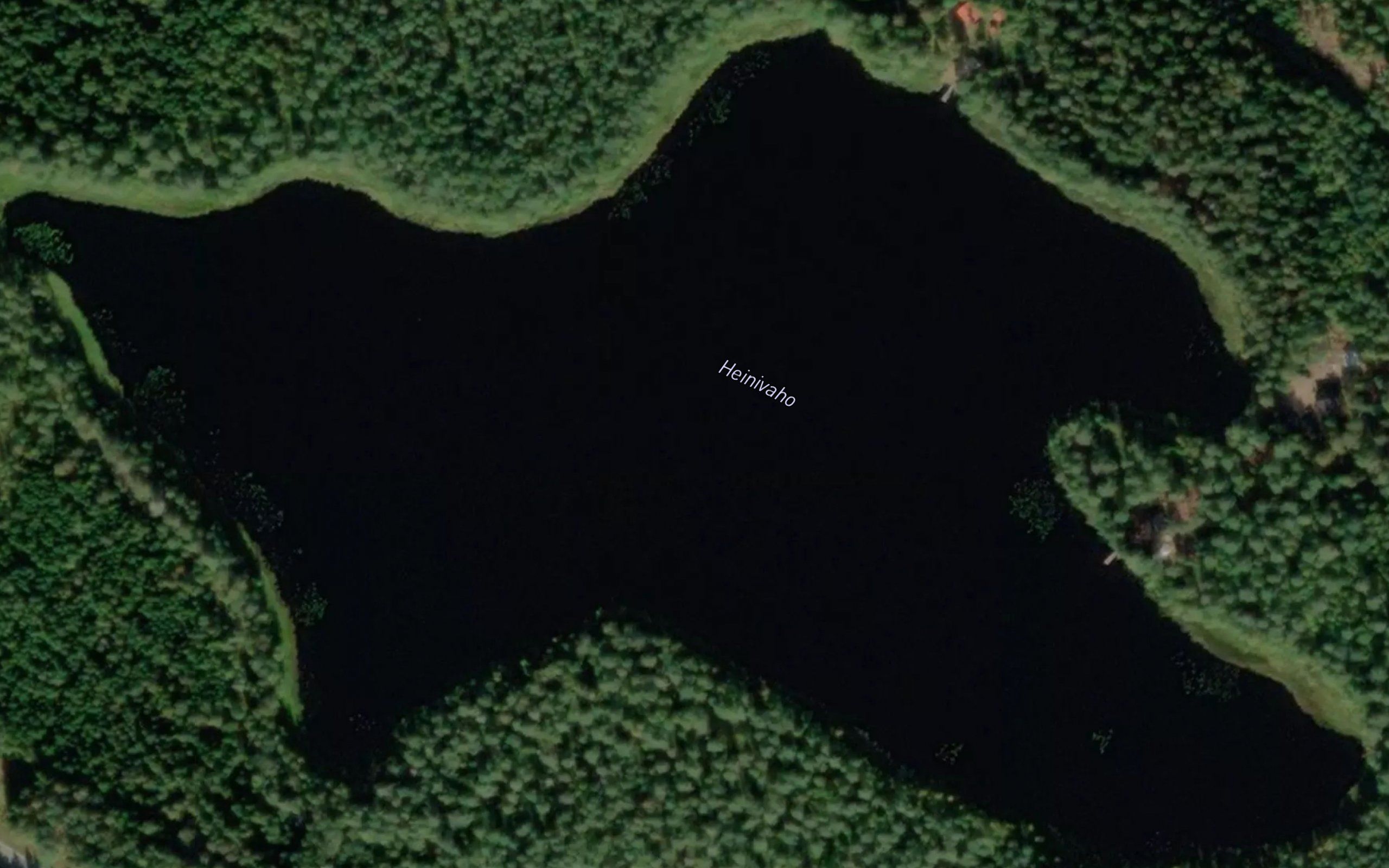 Heinivaho