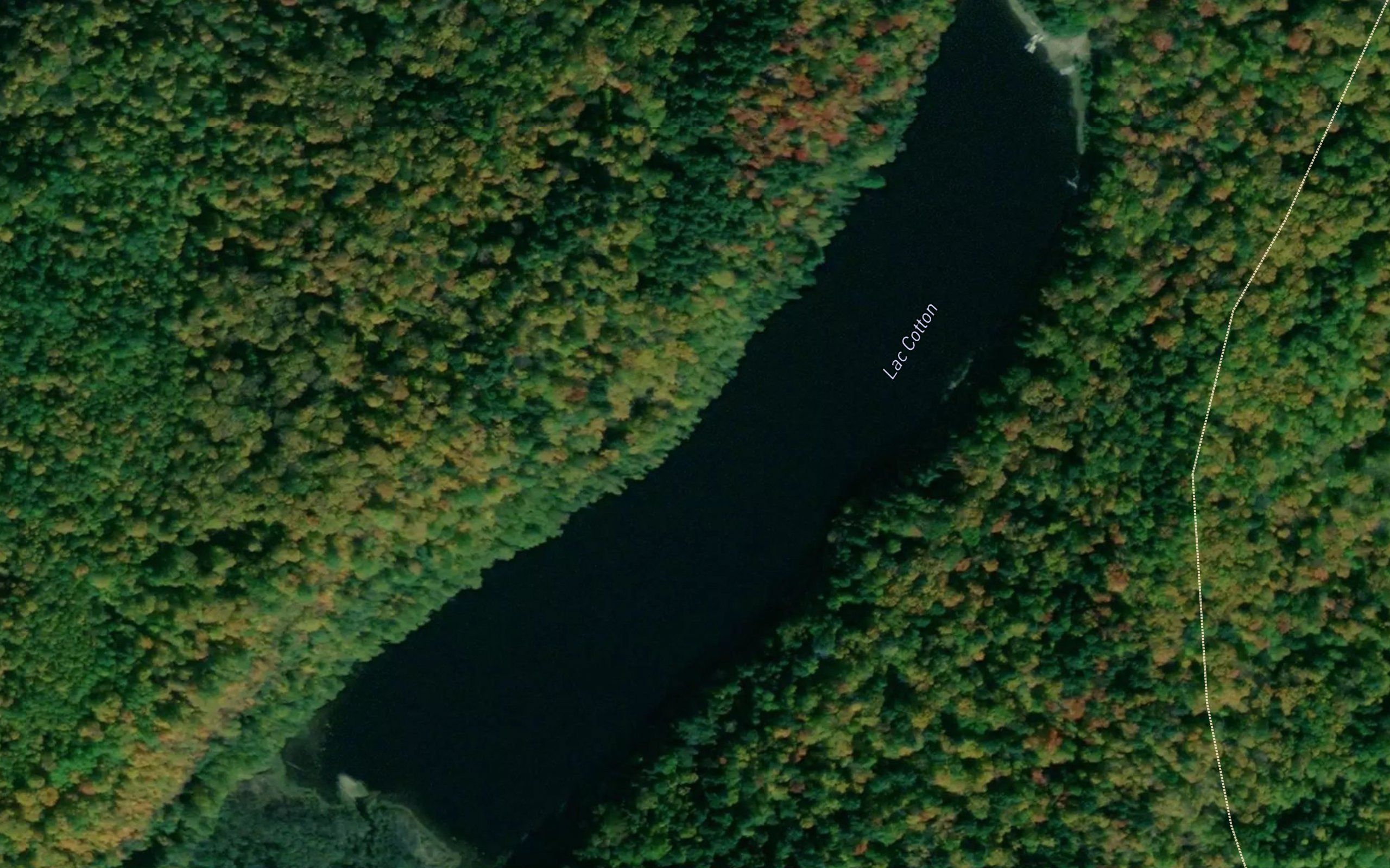Lac Cotton