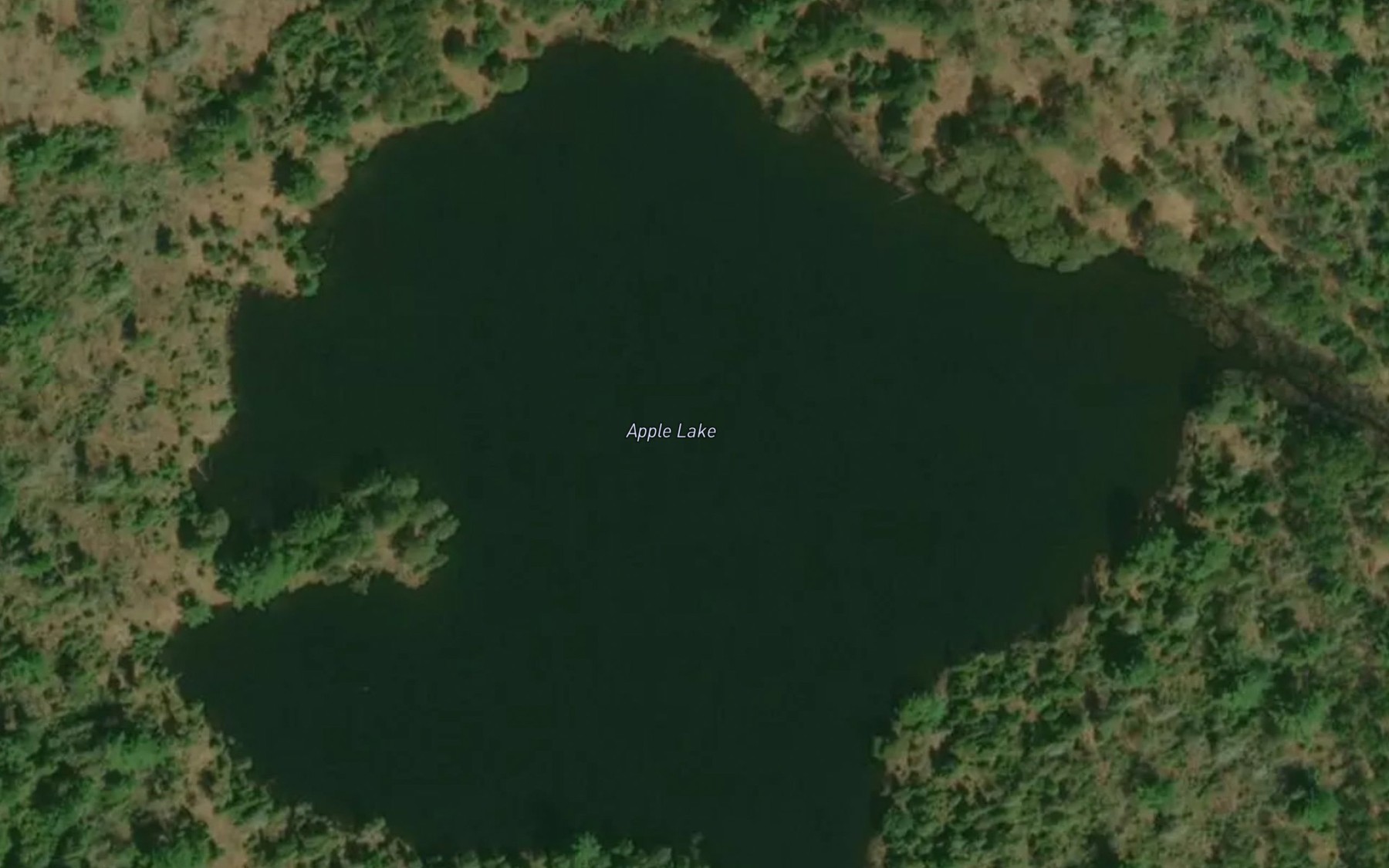 Satellite map of the Apple Lake